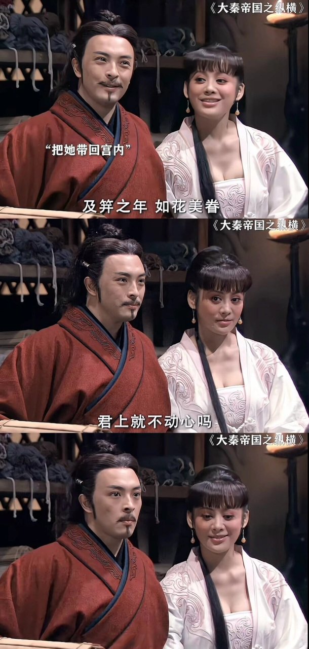 在古装电视剧《大秦帝国之纵横》中,宁静的表演可谓是让人惊艳