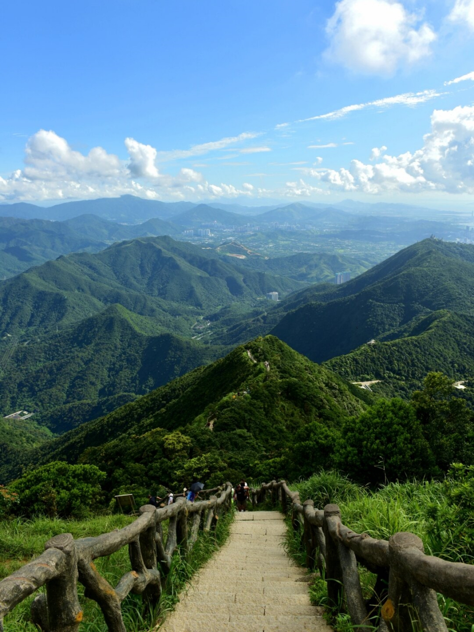 贵州梧桐山图片