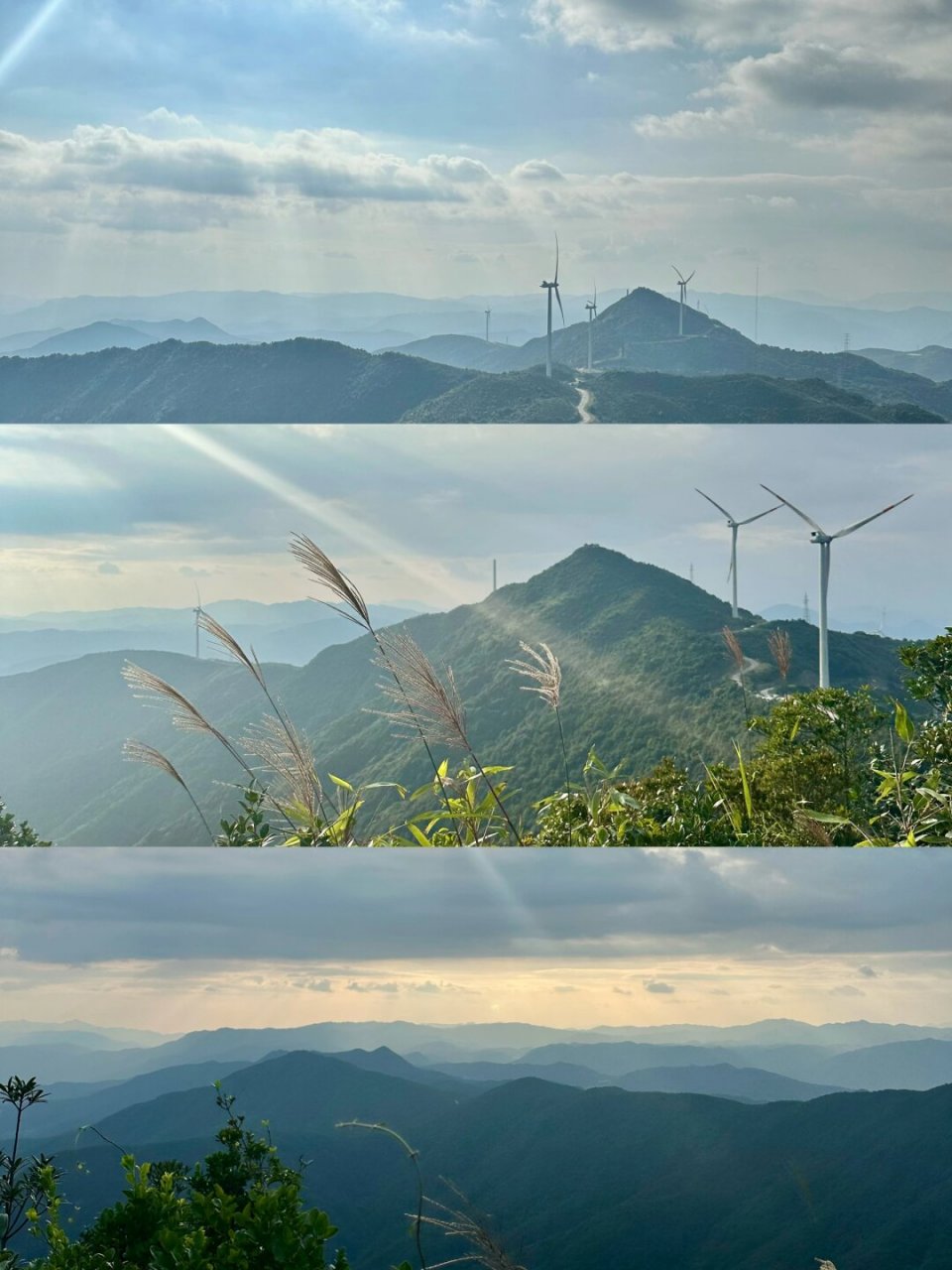 杉际内-云顶山徒步  9015 徒步新手挑战线路:杉际内——云顶山三