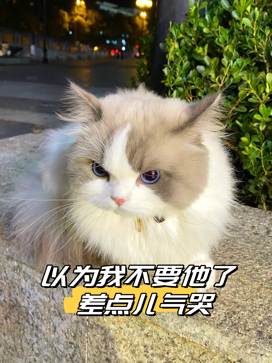 以为我不要他了 差点儿气哭