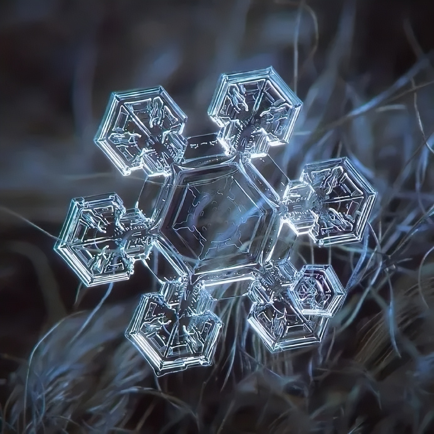 雪花微距摄影图片