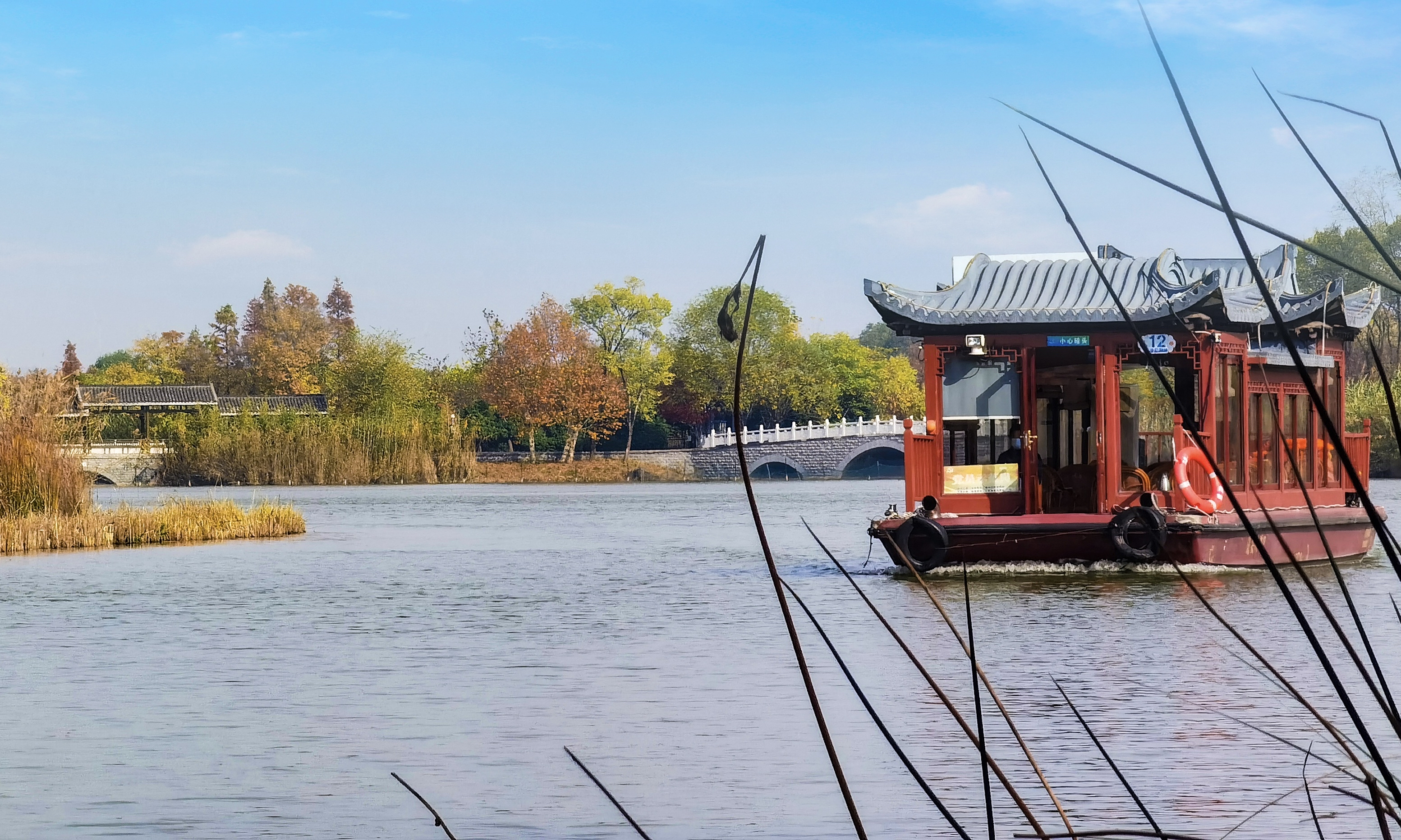 贾汪潘安湖池杉林,网红打卡圣地