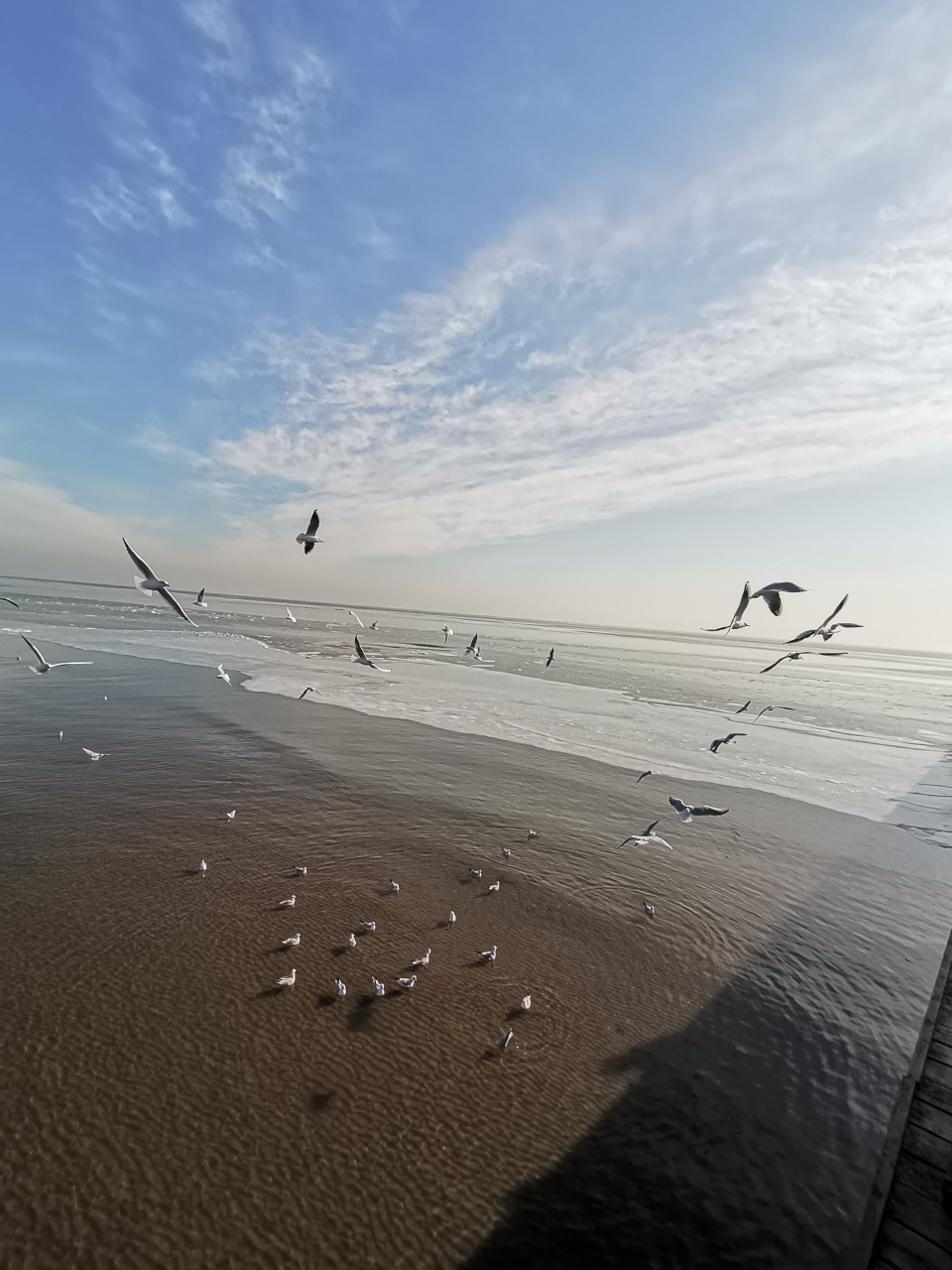 冬天的秦皇岛,海边游人很少,离岸5～6米处竟然结了薄冰,还有冰块随