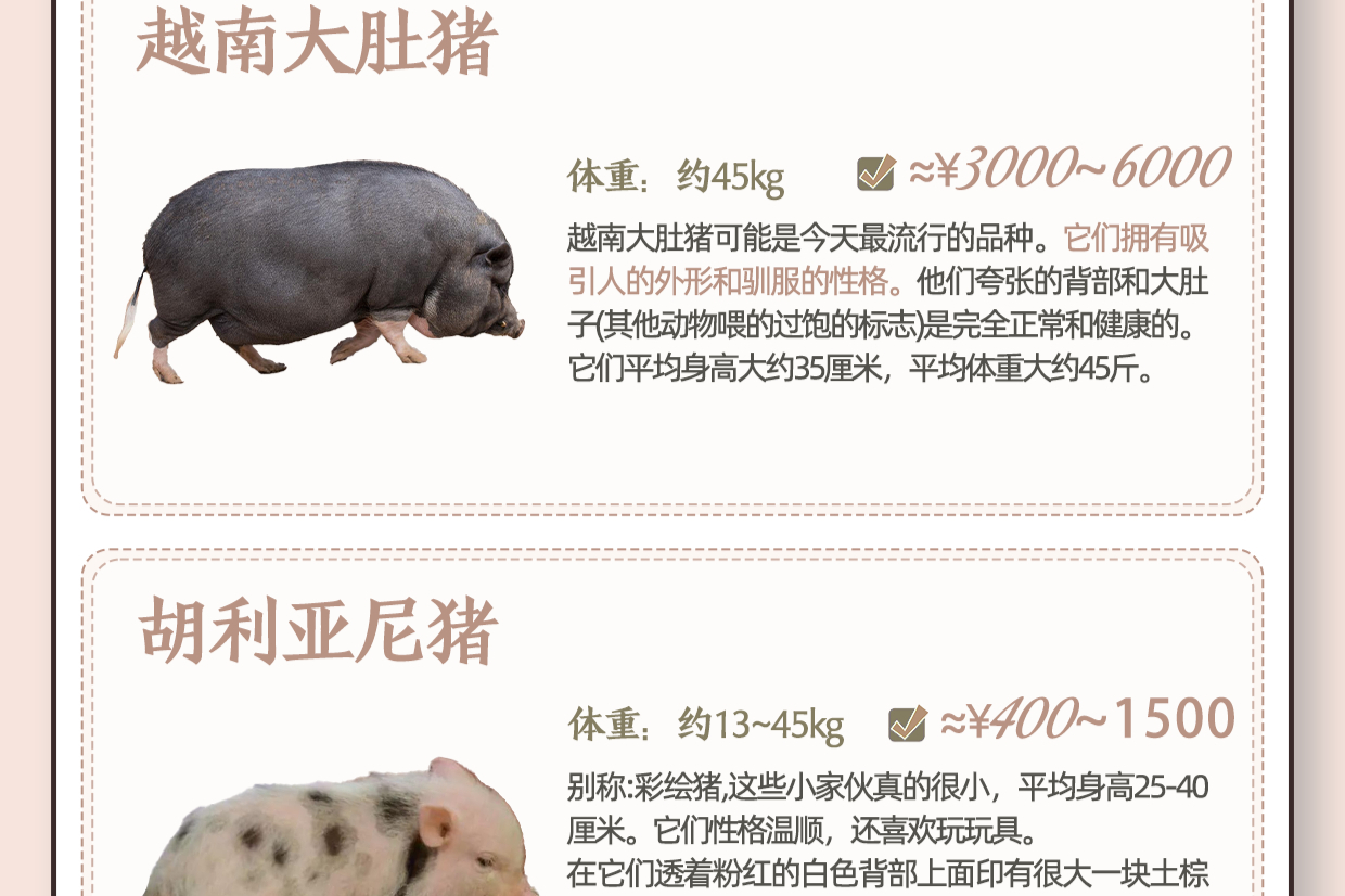 摘要:本文介绍了三种常见的宠物猪品种:迷你猪,茶杯猪和长毛猪,并强调