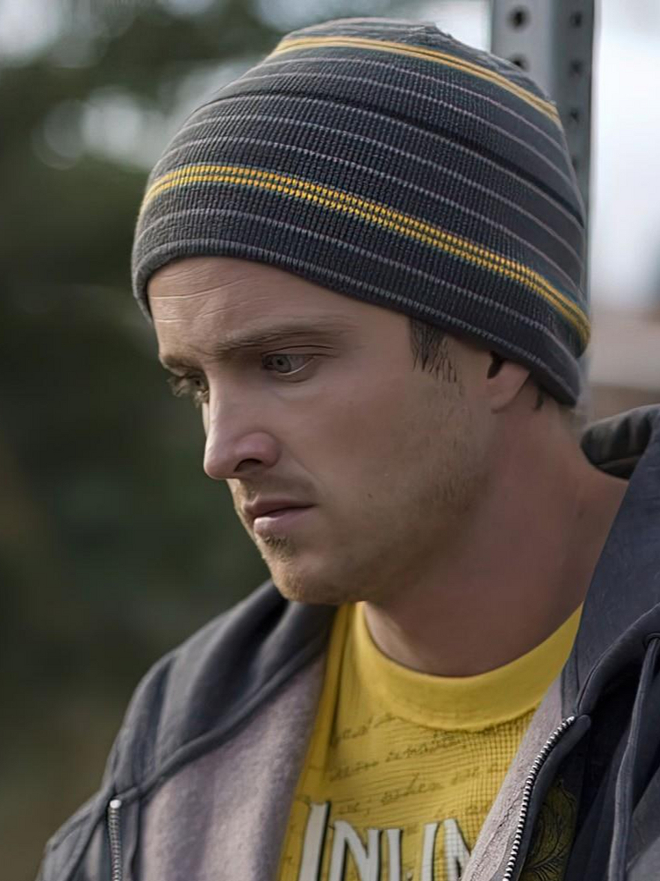 老白 让人又爱又恨 《绝命毒师 第二季》 老白的刻画很有意思,一开始