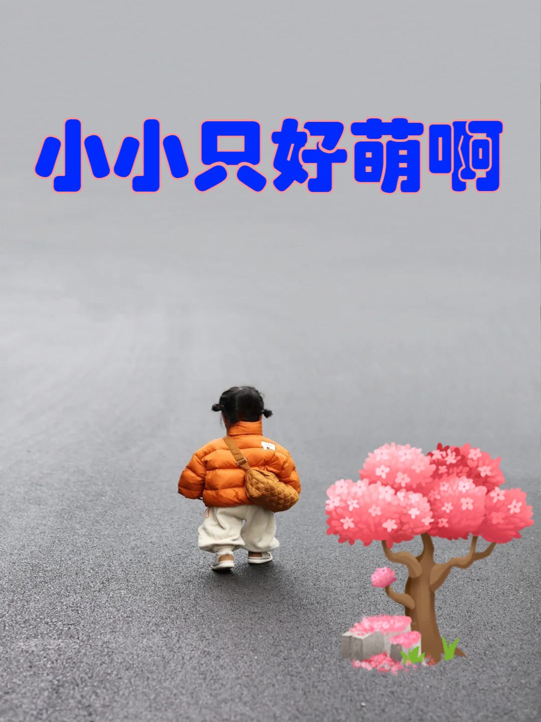 她就这么小小小小只也太会卖萌了 她太可爱了,想把她装进口袋里带走!