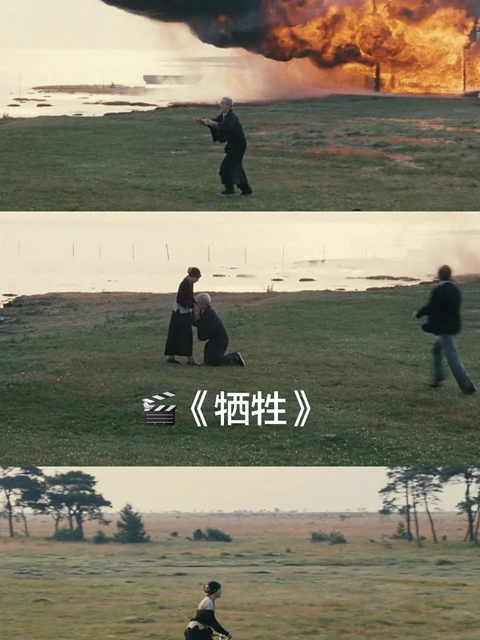 《牺牲》:生命与信仰的探索