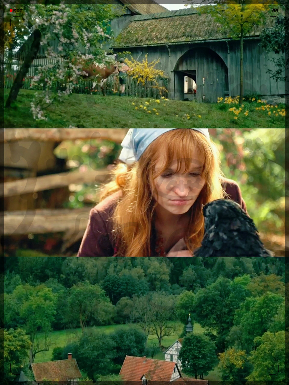 90仿佛置身童话世界6015这部电影美不胜收94  《淘气小女巫》