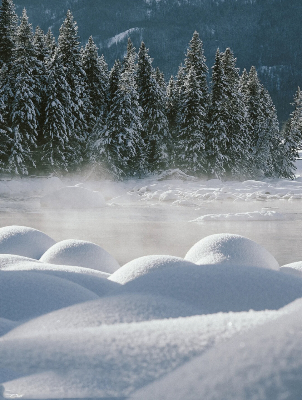 雪地拍照姿势合集  冬日诗篇,以雪为背景,我在画卷中演绎千姿百态.