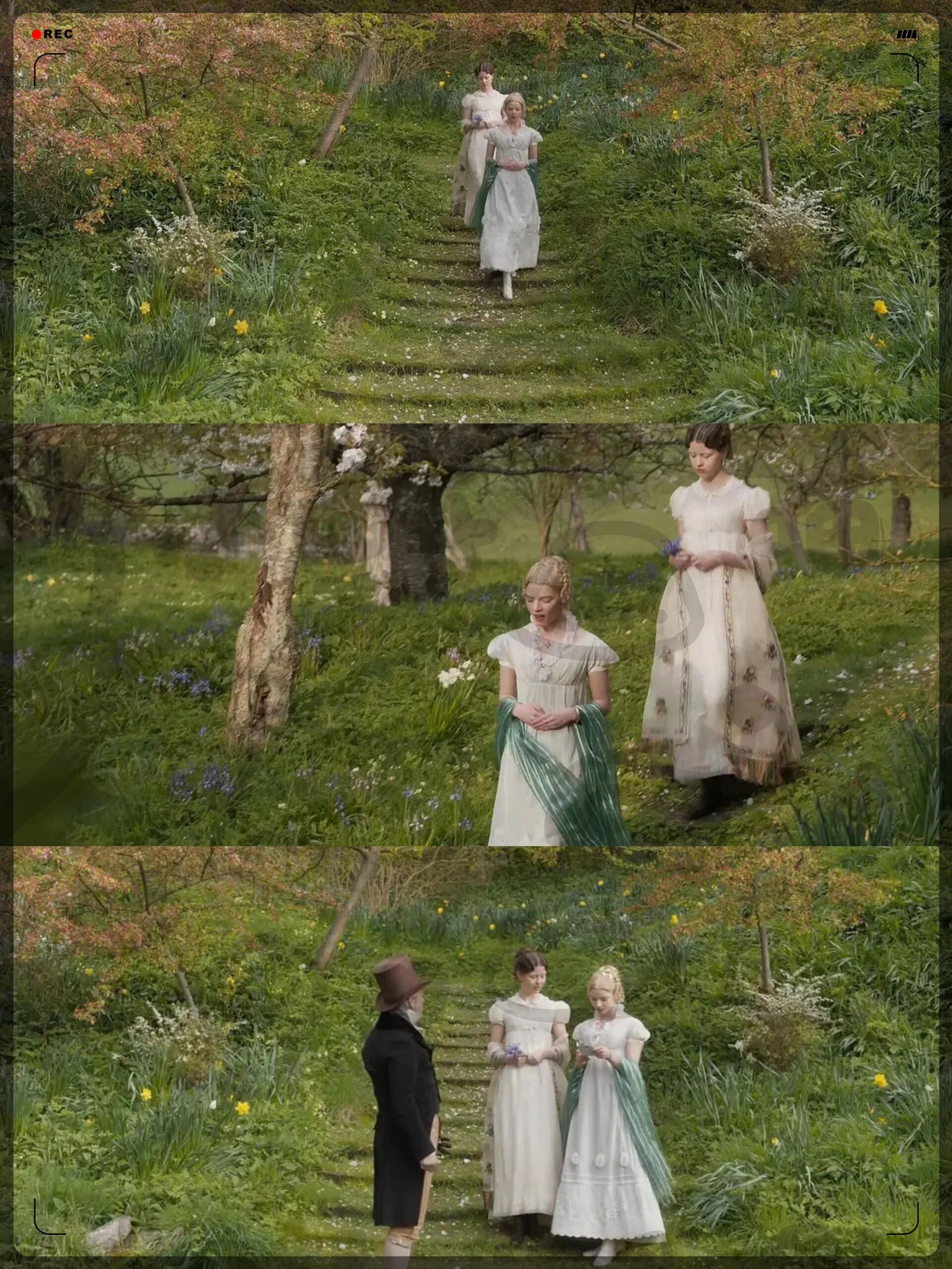 必看英伦田园风超高颜值美如油画|||:《爱玛》  这部英国电影《爱玛》