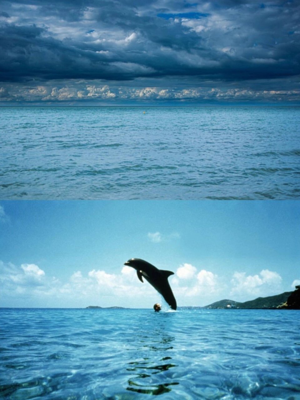 一部充满宿命感的作品 电影:《碧海深情》(the big blue) 电影讲述了