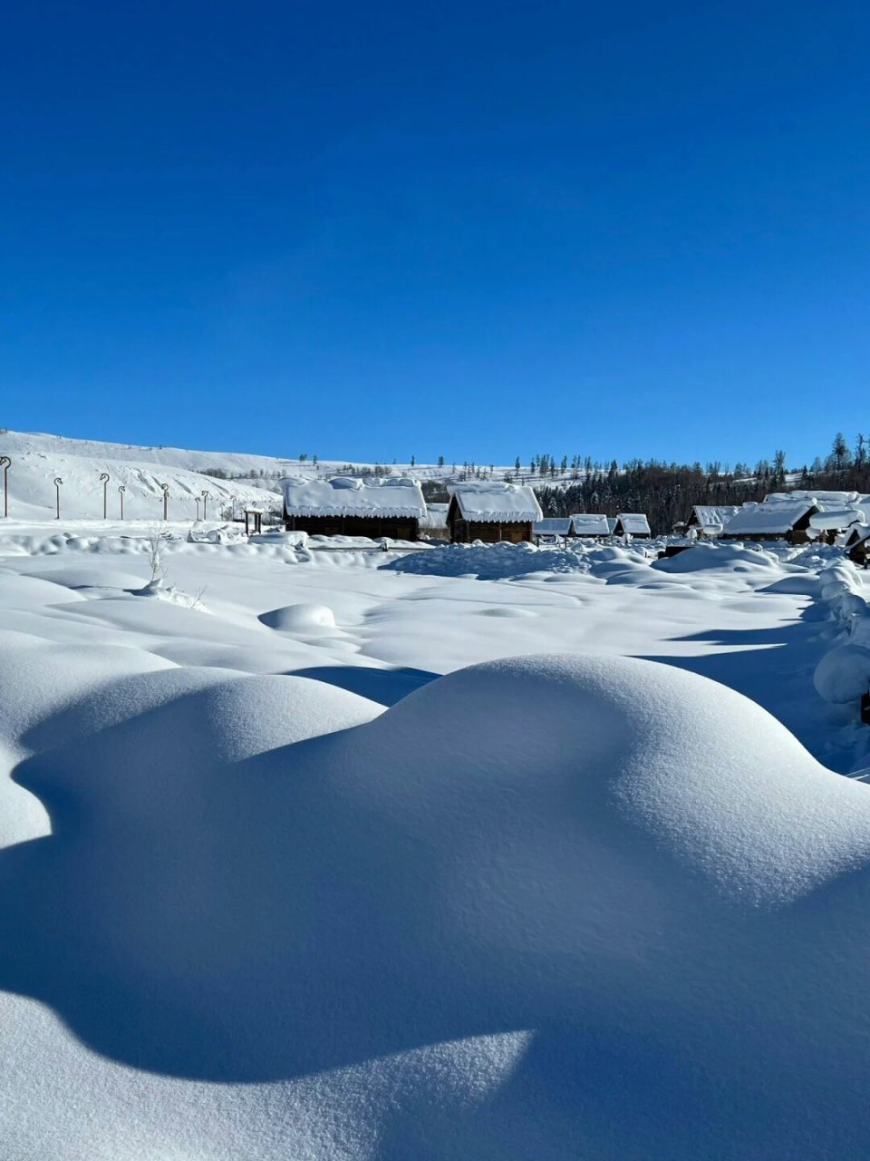 新疆雪景图图片