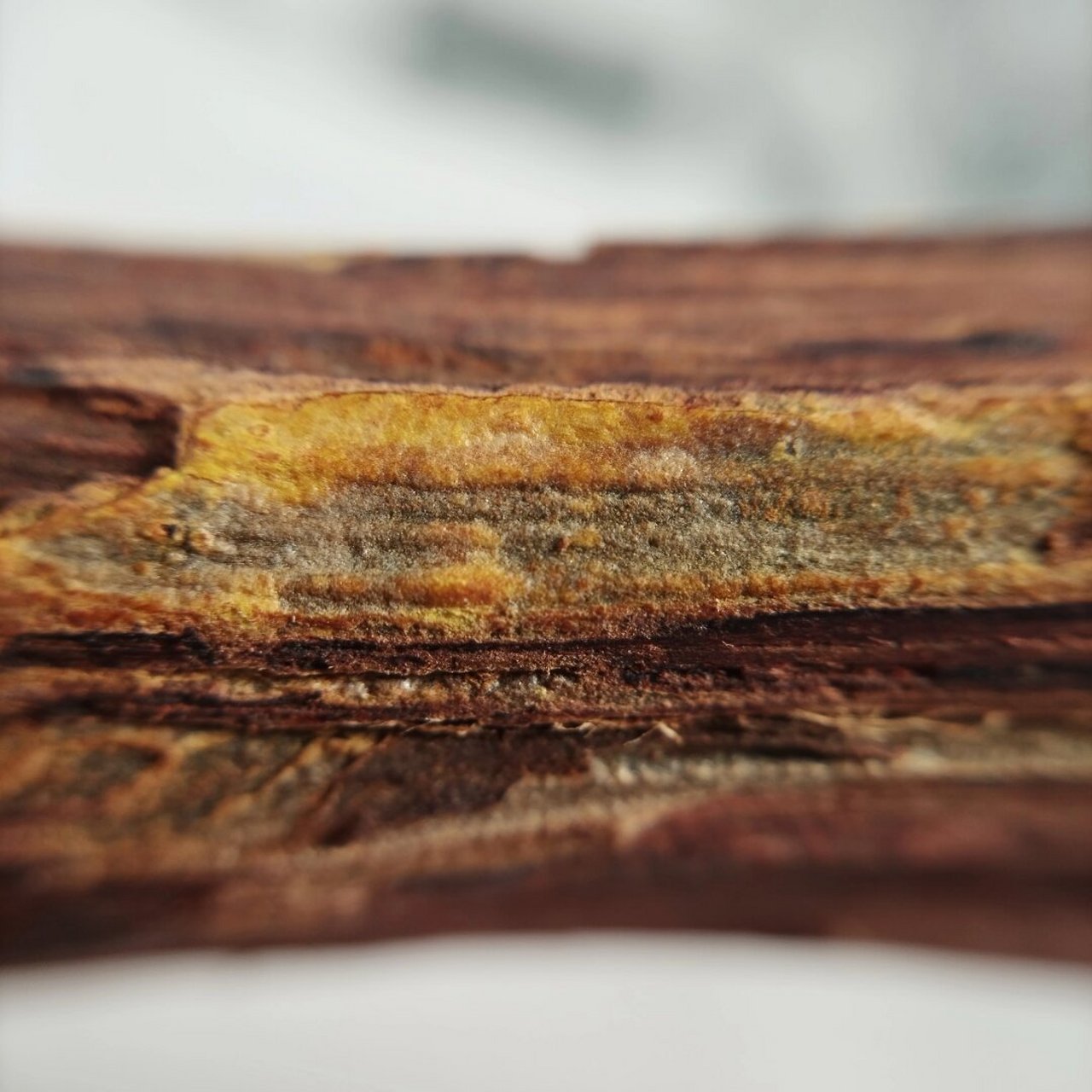 海南大叶降真香帝王香摆件  海南降真香,一种历经岁月沉淀的珍稀香料