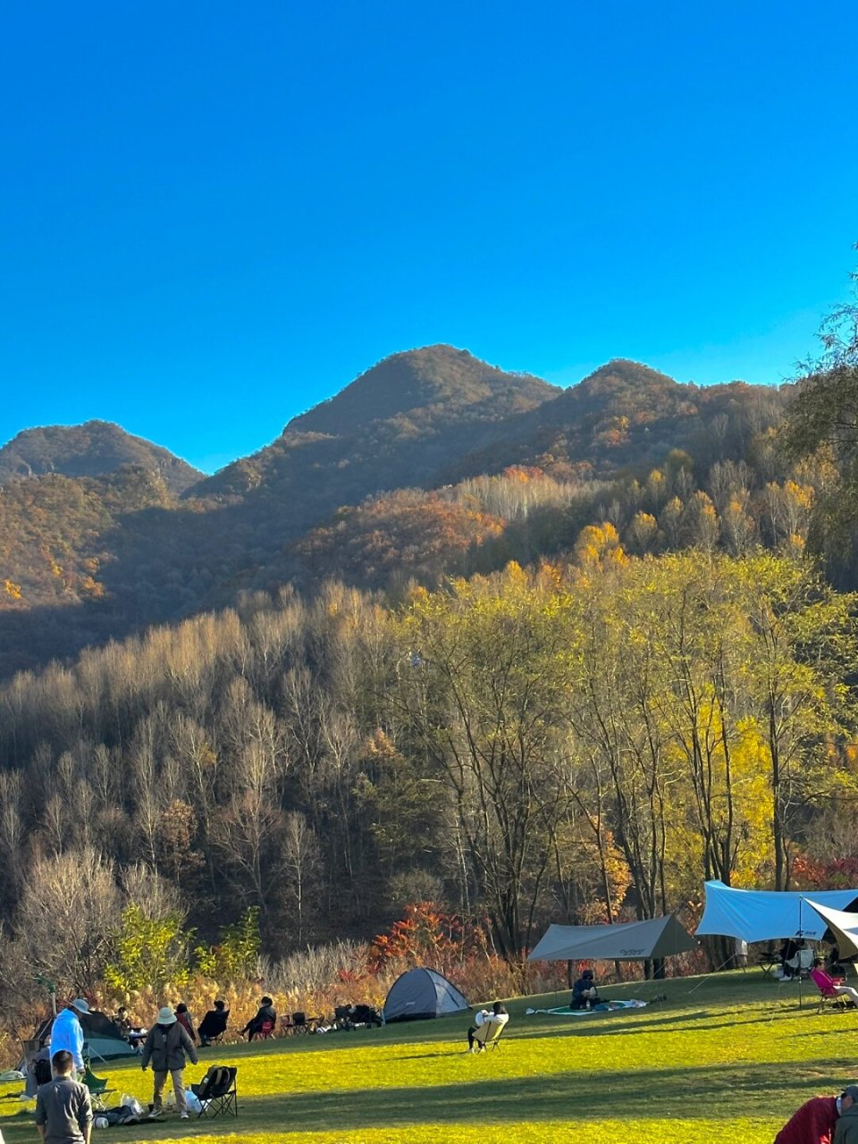 北京的秋天之美:玉渡山高山草甸的顶级享受  北京的秋天,美得让人