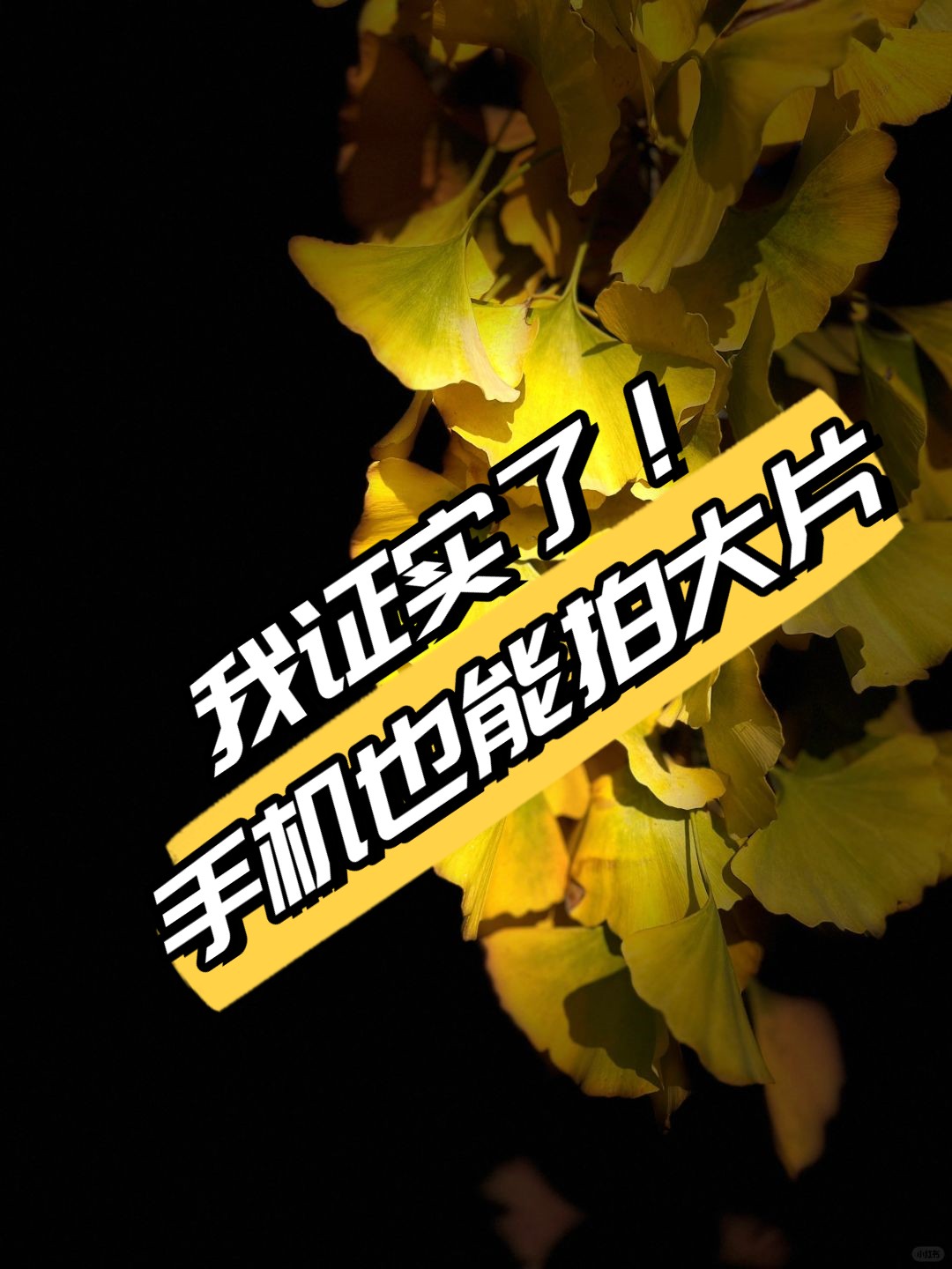 专业摄影人手机拍摄教程，技巧大全