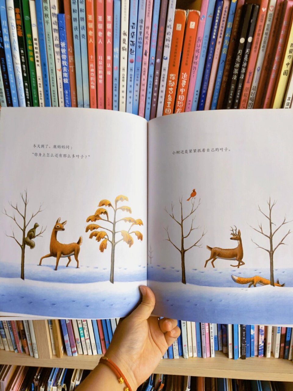 一棵树的成长和蜕变,教你选择与放弃  97一本书,一段旅程 《小树的