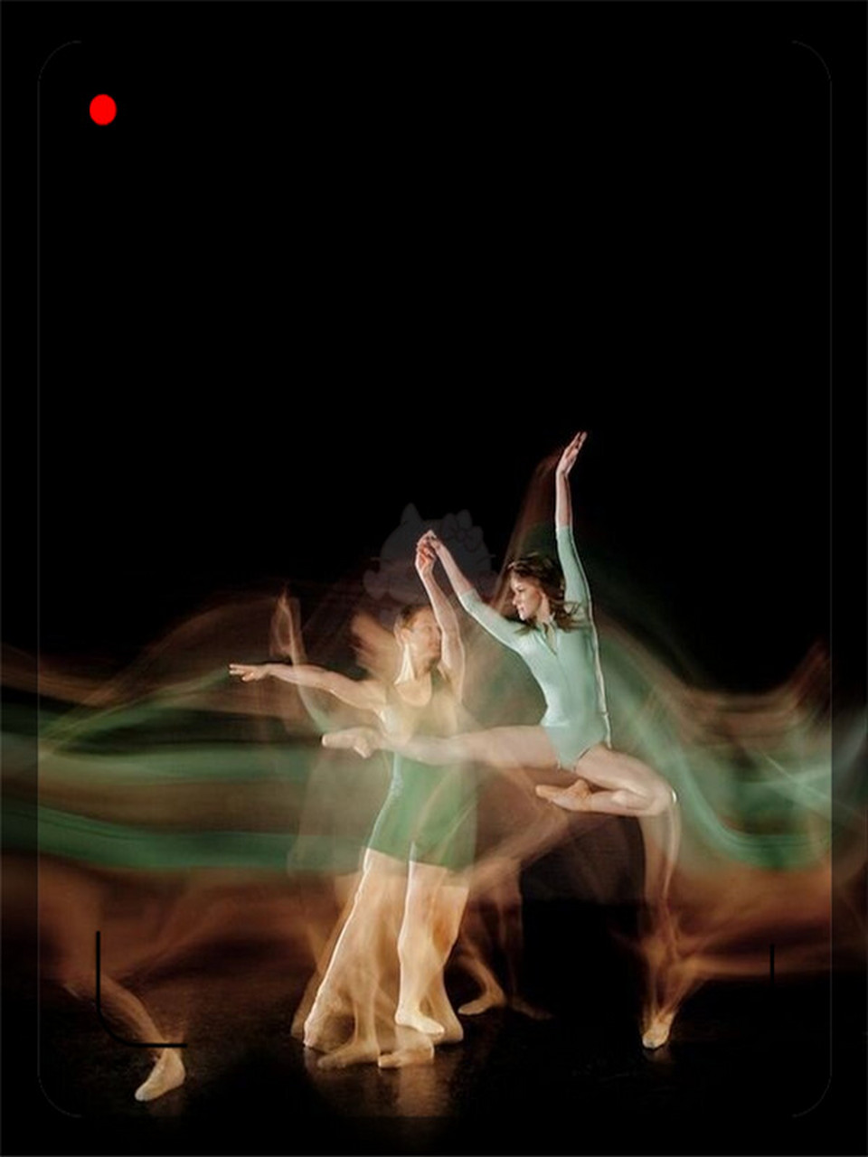 收集美图  舞蹈——舞动灵魂的艺术 舞蹈,是一种通过身体的舞动来表达
