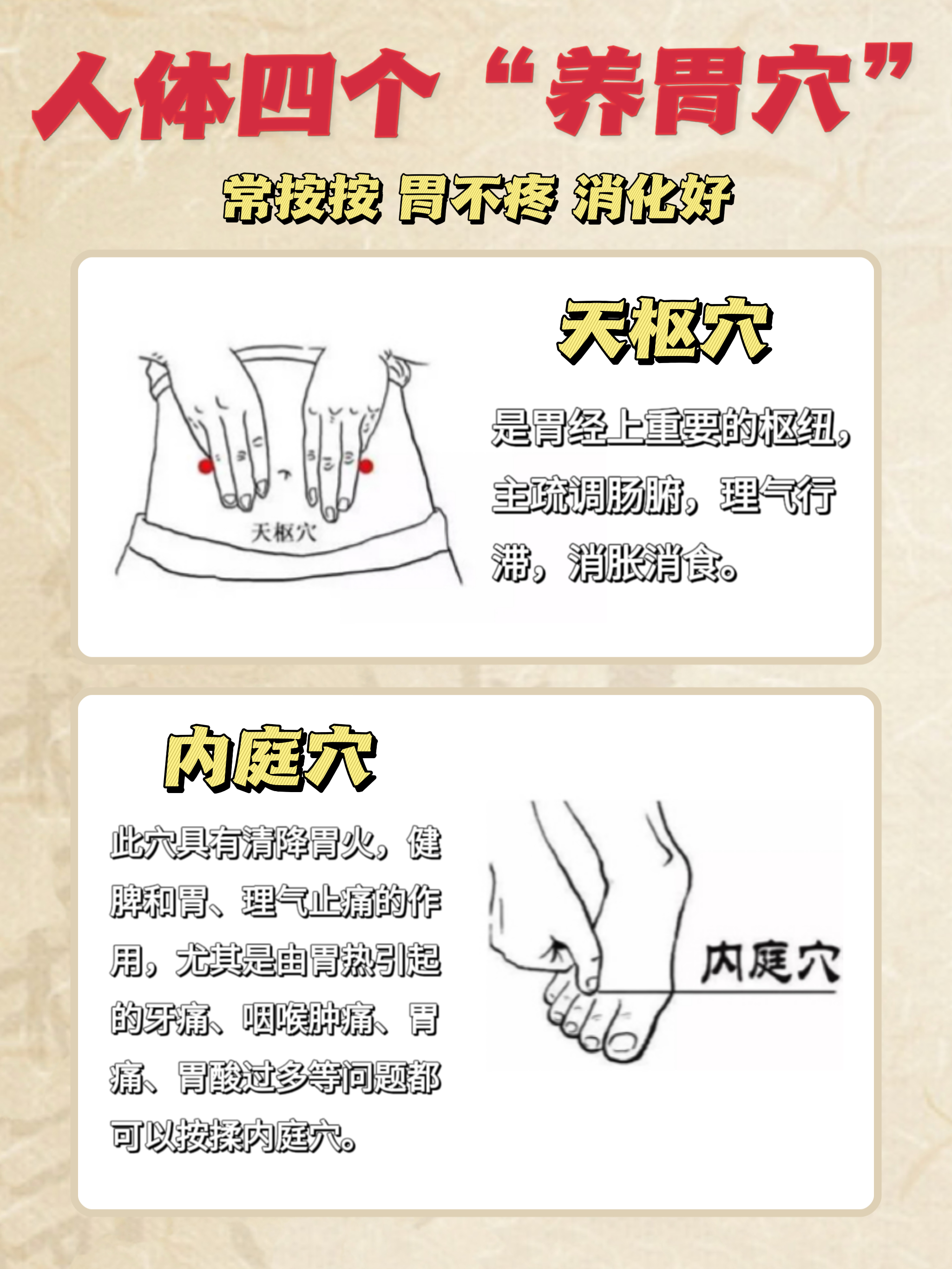 4个养胃穴 长按按