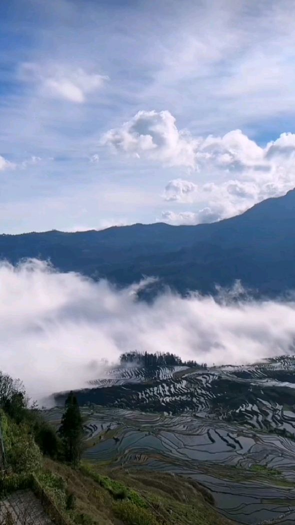 云南元阳梯田云雾缭绕仙气飘飘风景如画