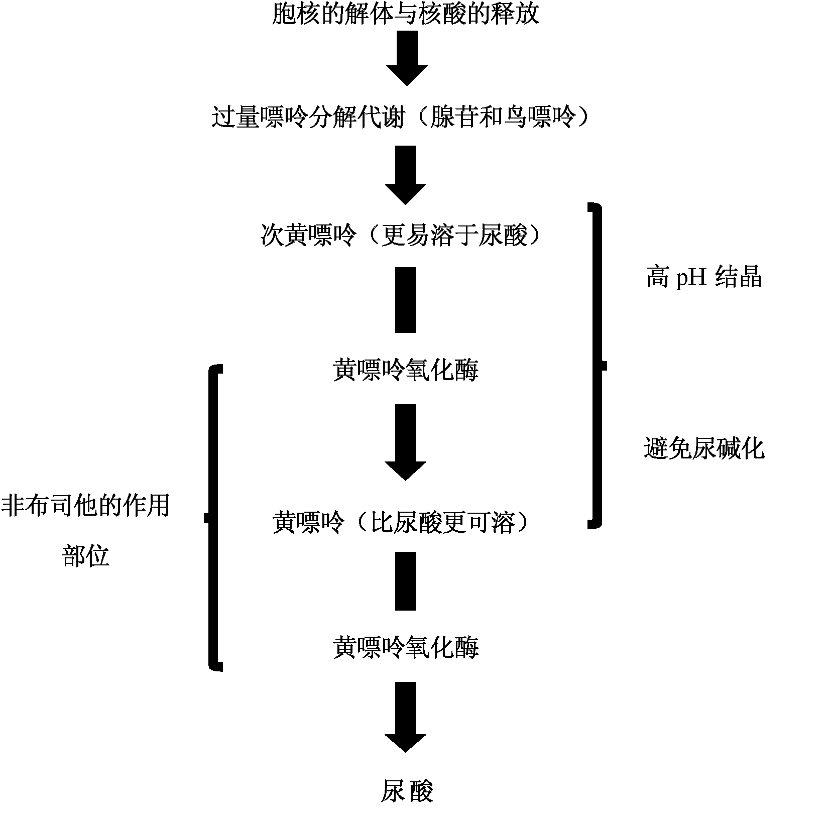 痛风定胶囊降尿酸原理图片