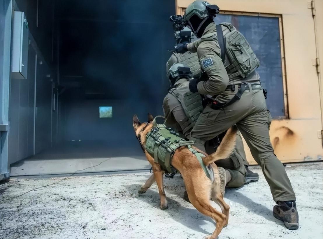 法国外交官遇袭!以军无差别攻击引发强硬制裁