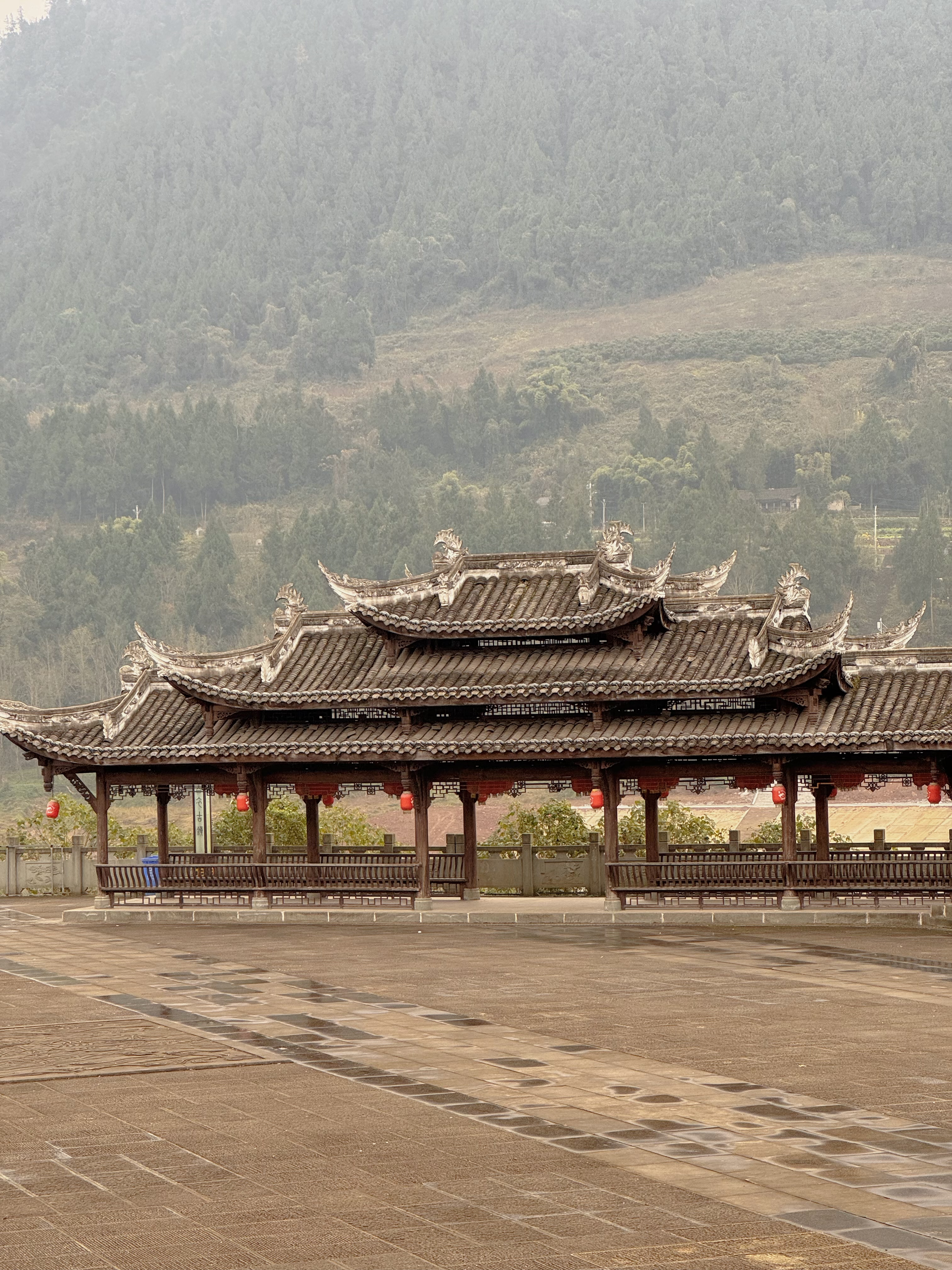 巴中平昌十大富豪图片