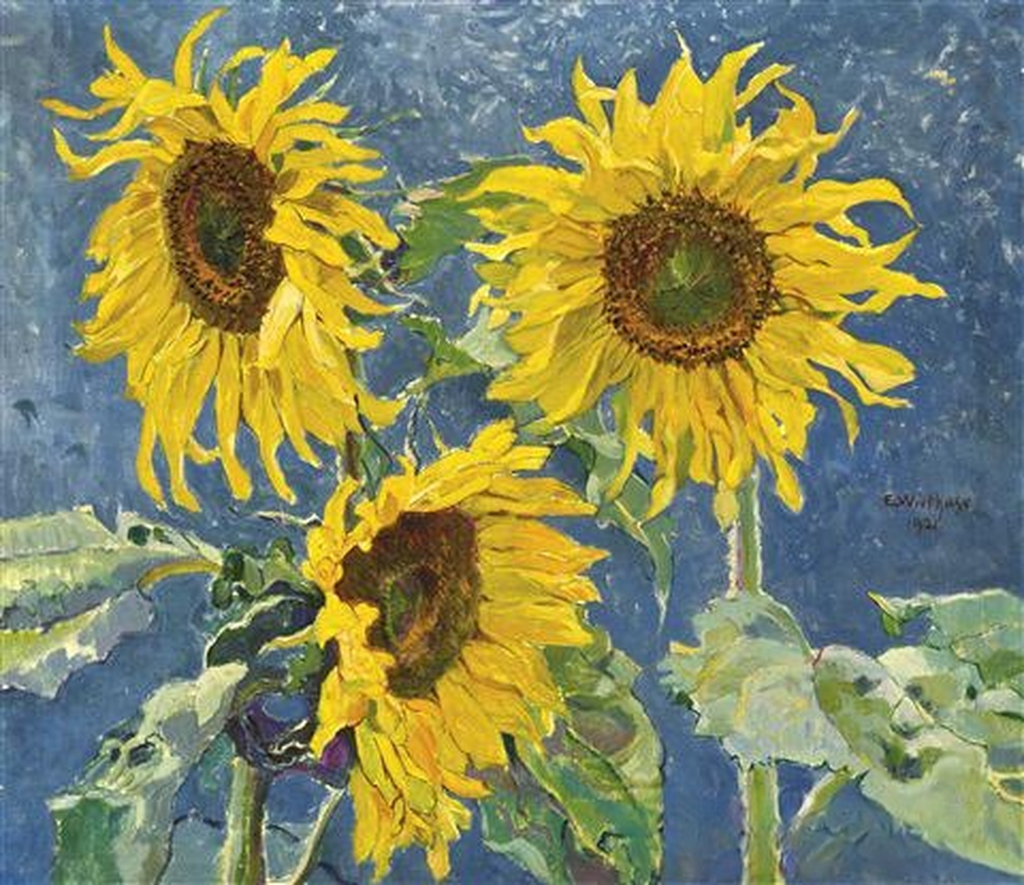 《向日葵》(英文:sunflowers) 是比利时艺术家『edgard wiethase』 于