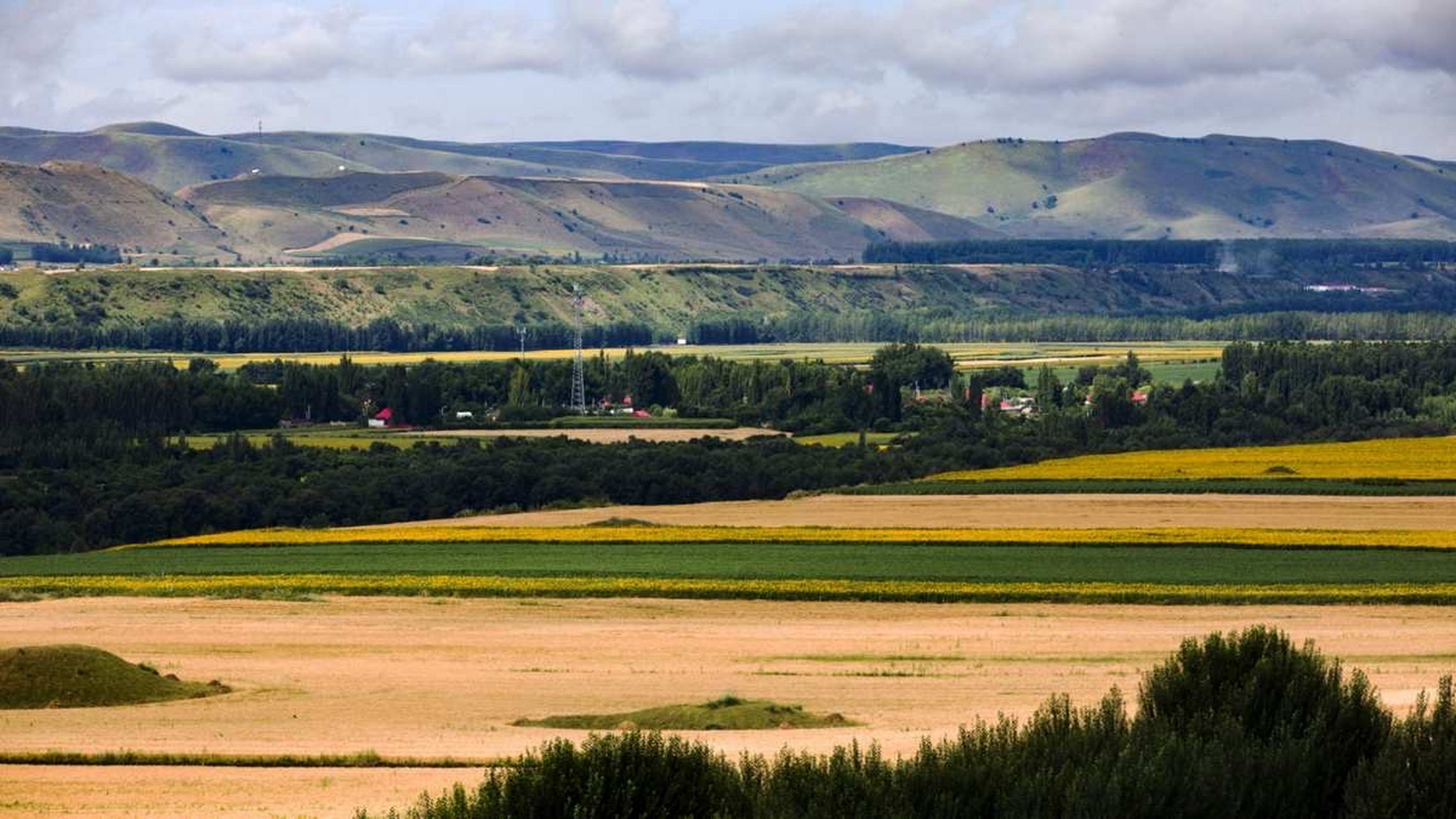 迷人的新疆秋景#旅行