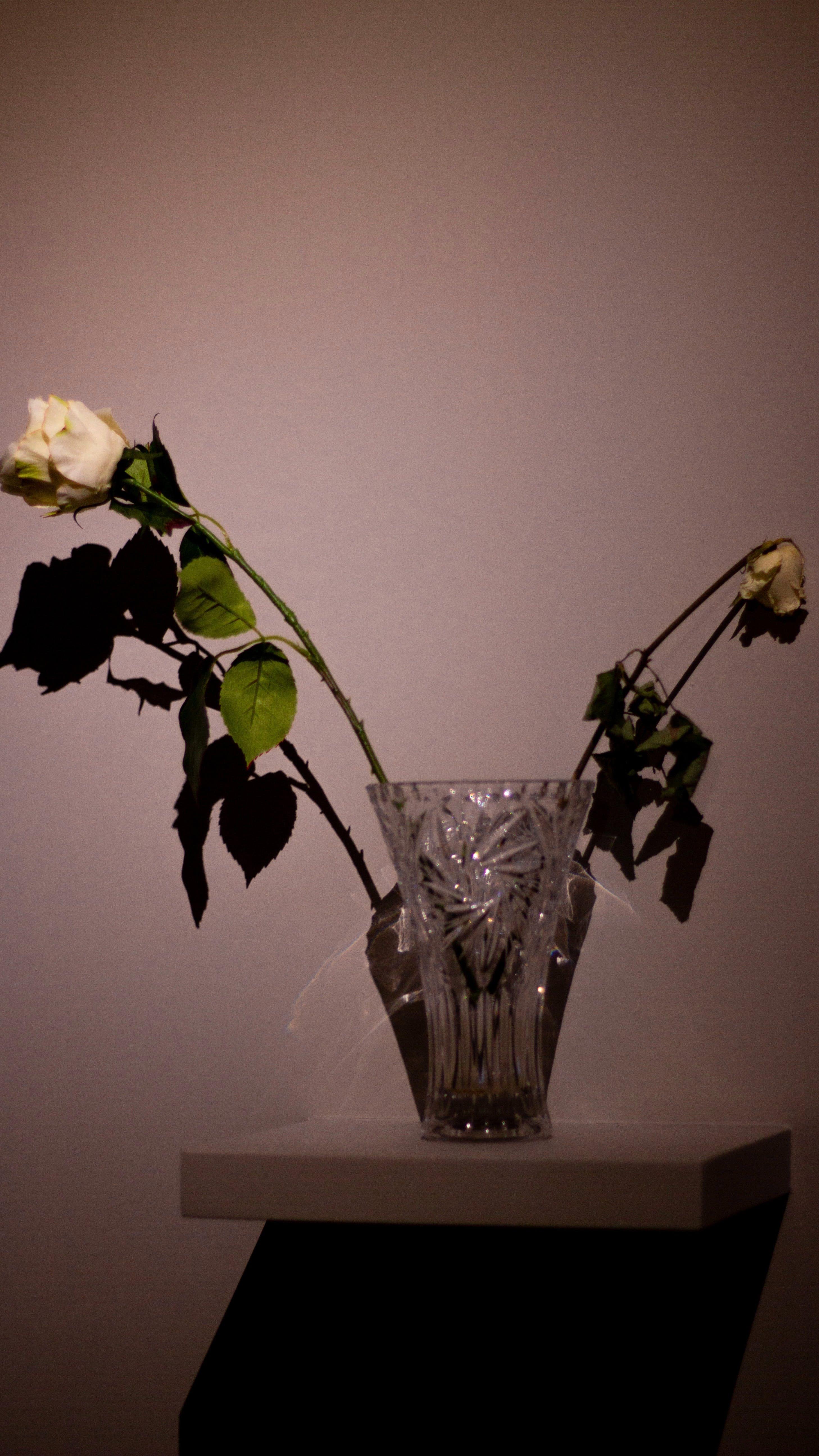 个性像白纸,一经污染, 便永不能再如以前的洁白. ——黑格尔