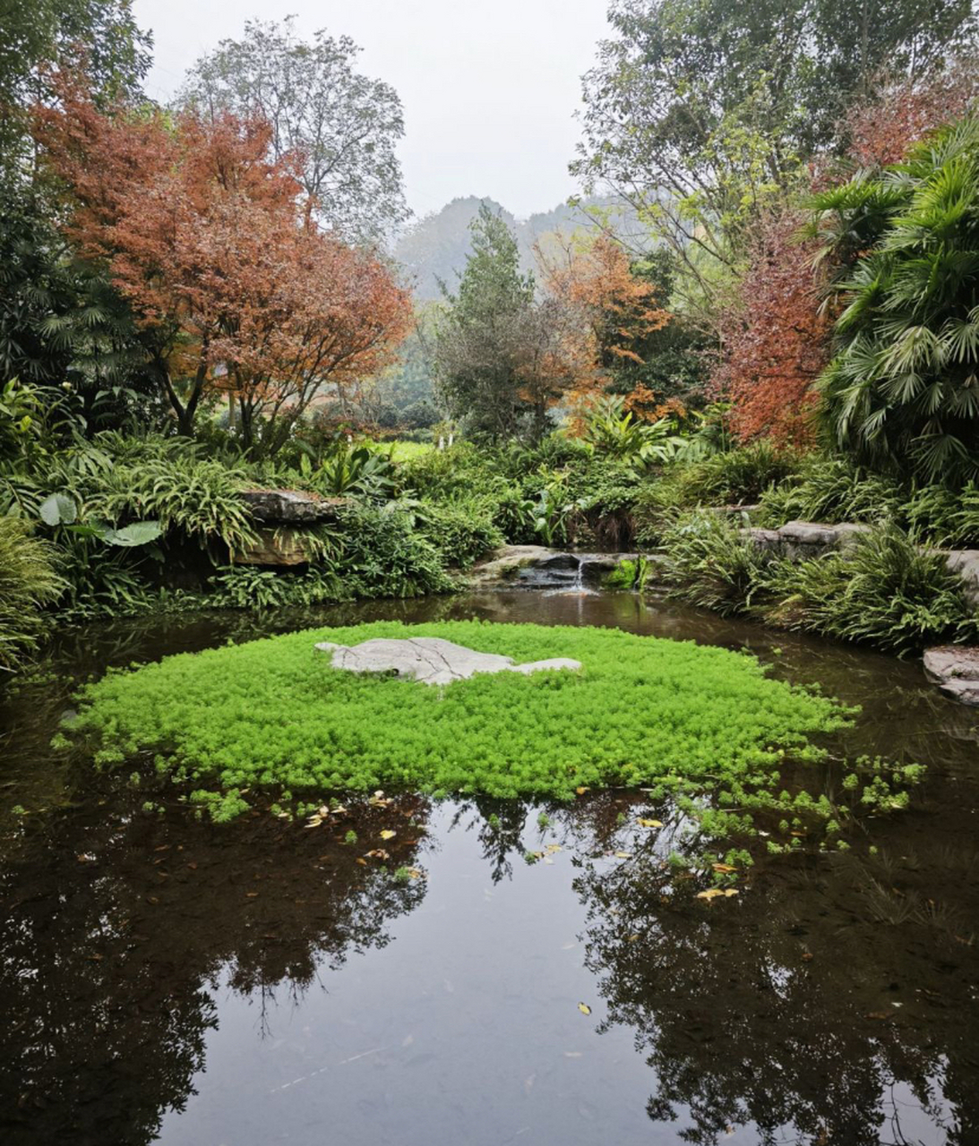 龙头寺公园导游图片