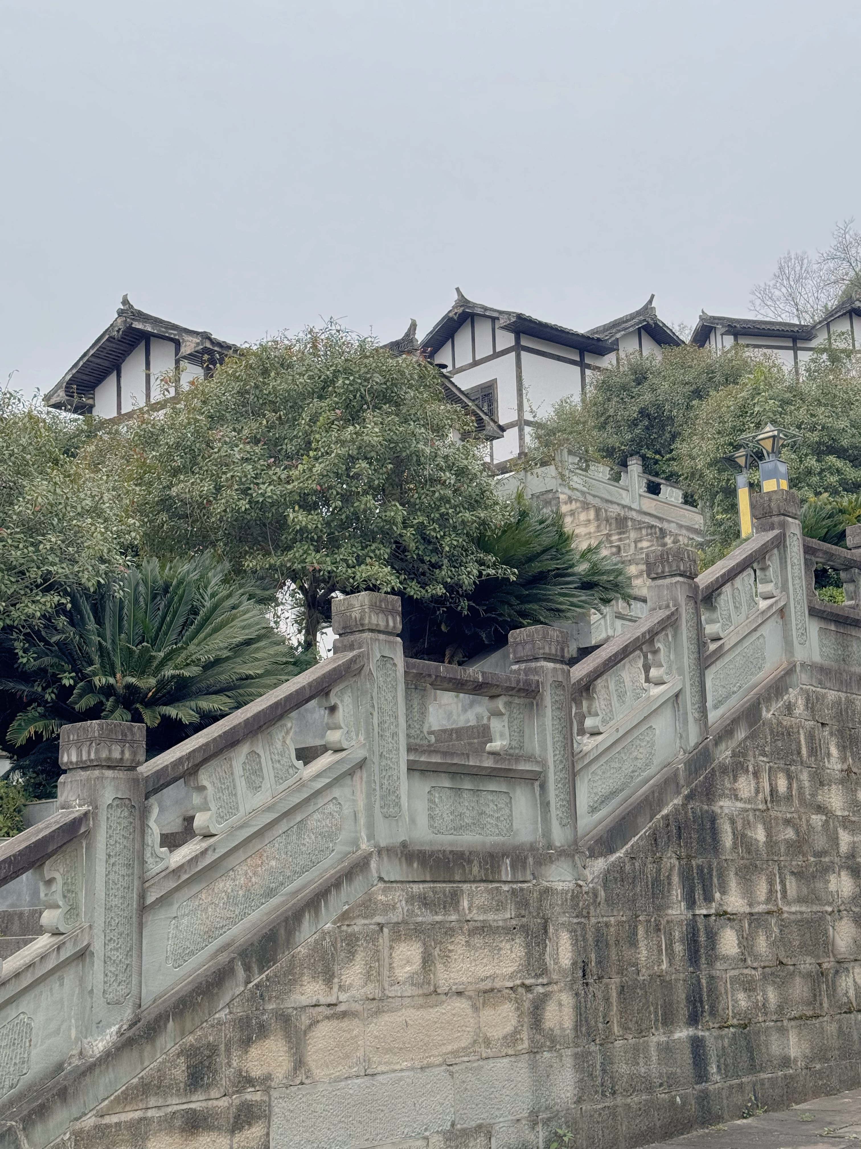 巴中平昌十大富豪图片