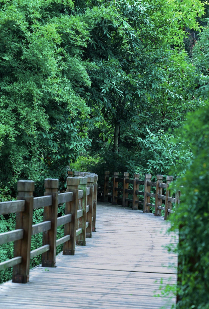 位于重庆市渝北区的龙头寺公园,是一座集自然风景,科技环保和人文教育