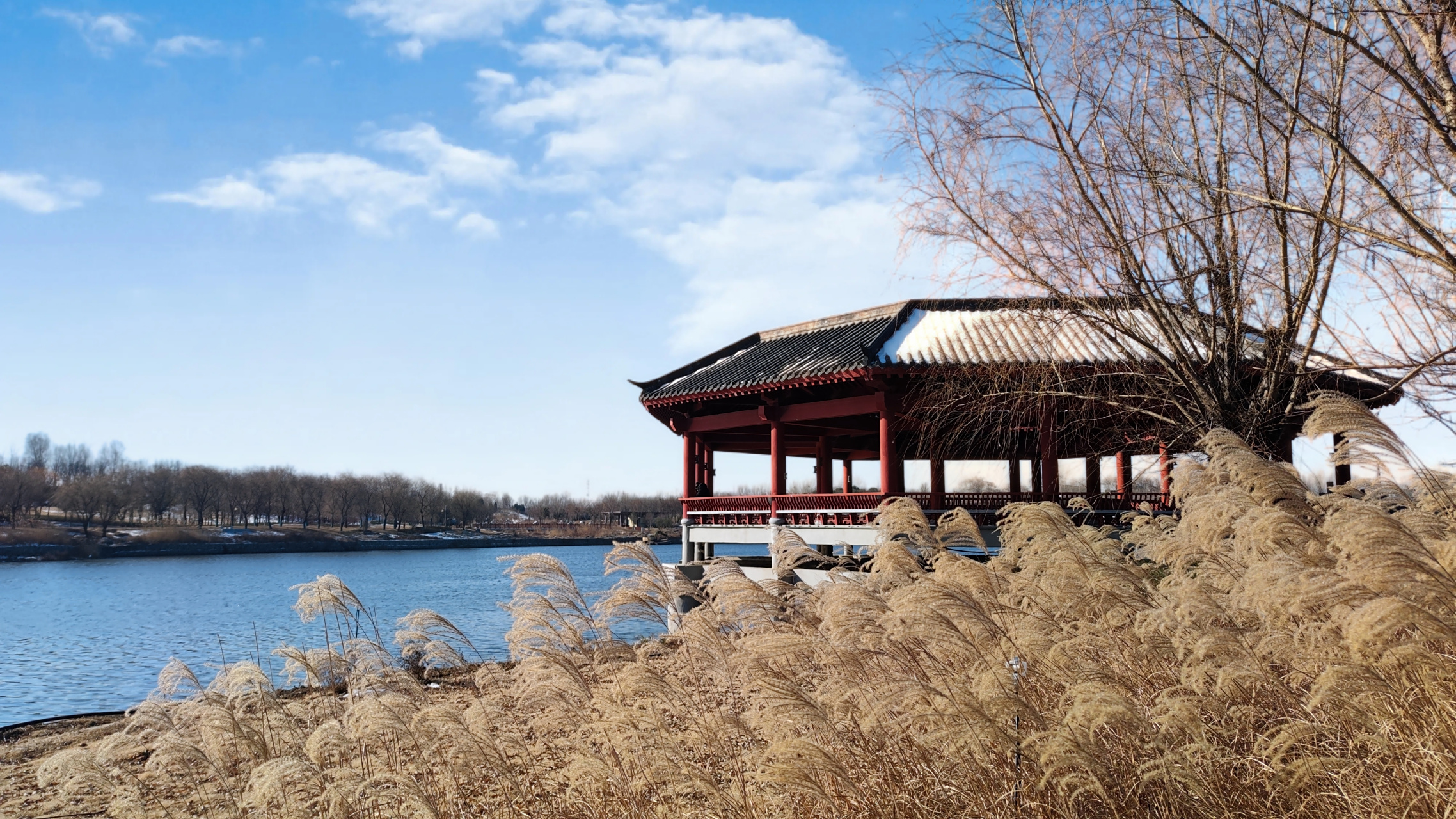 郑州# 郑州免费周边游的好去处,洧水公园位于郑州新郑市南关,被誉为