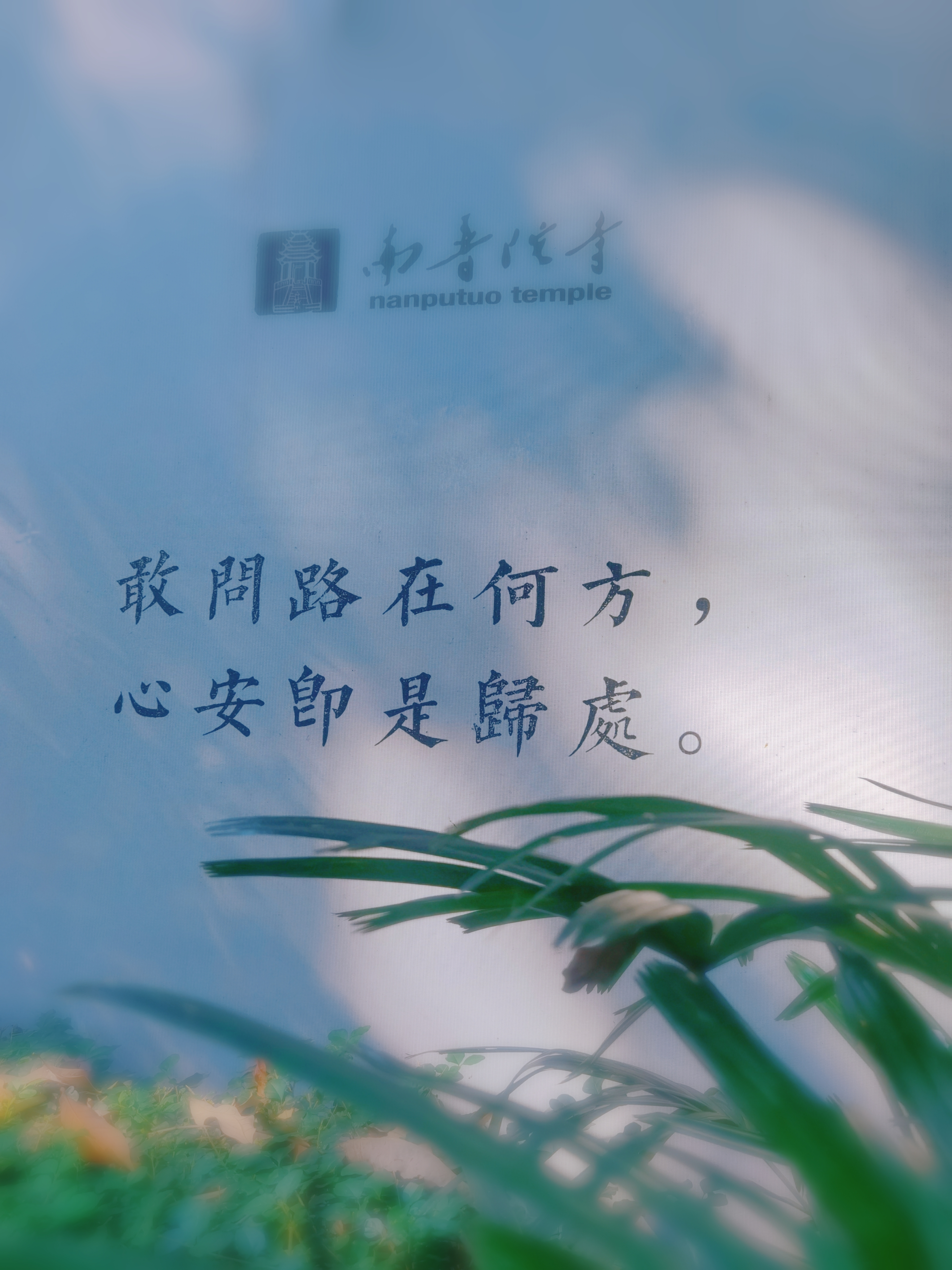 谢谢你2023# 2023年之心愿达成④:南普陀寺祈愿!