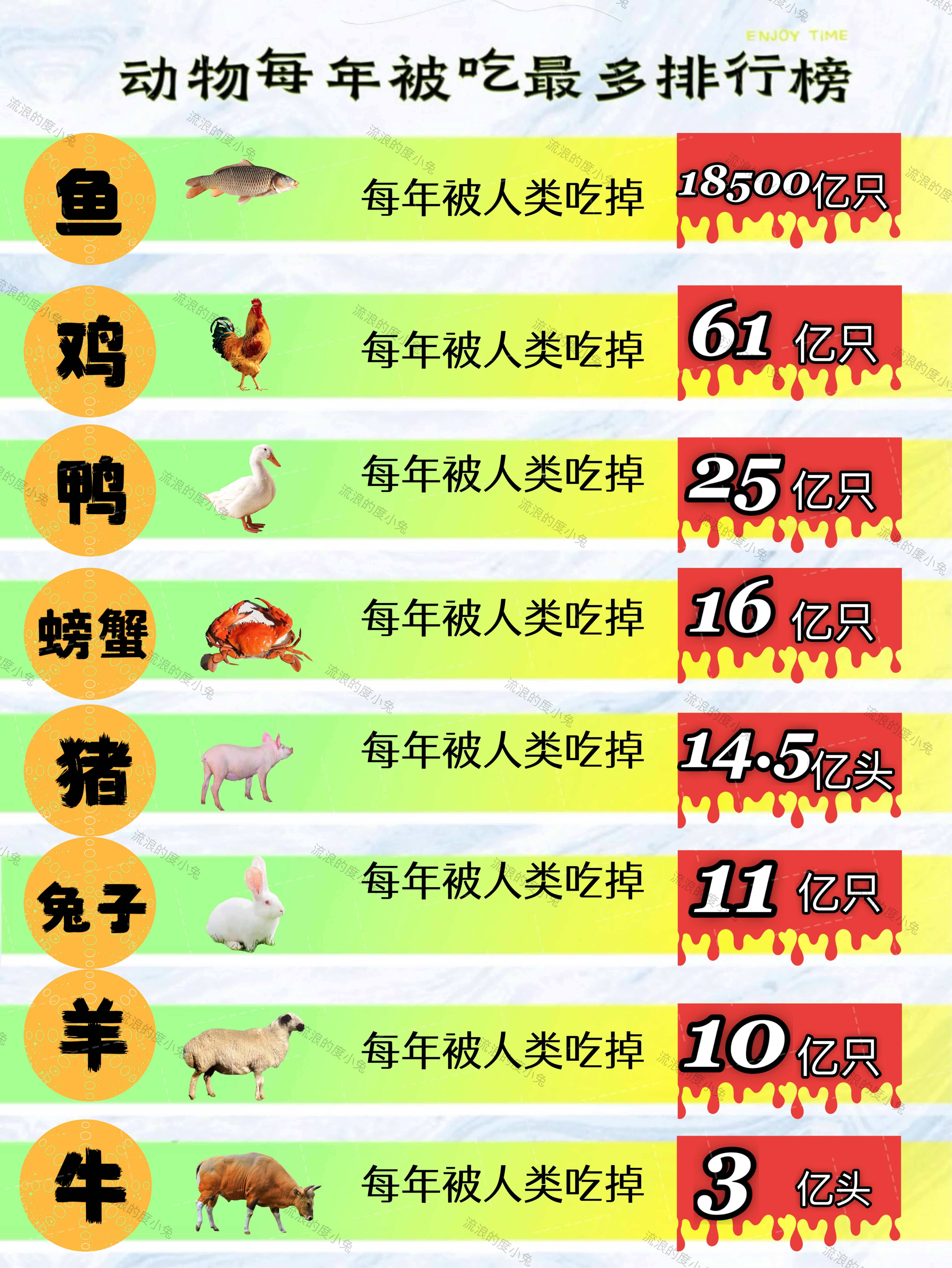 每年被人类吃得最多的动物排行榜,第一名你想到了吗?