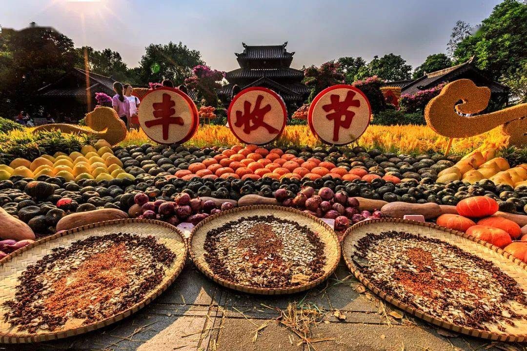 五谷丰登:丰收的寓意与华夏的希望