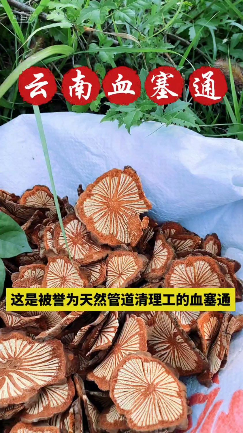 云南血塞通,对上了年龄的朋友特别友好.