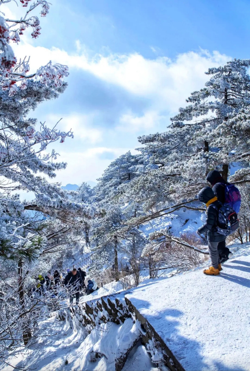 游黄山雪景美篇图片