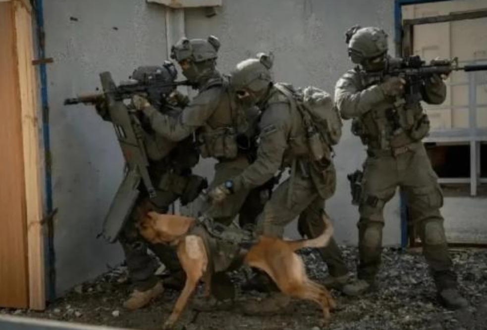 法国插入!以军的无差别攻击,炸死法国外交官,法国的制裁很坚决