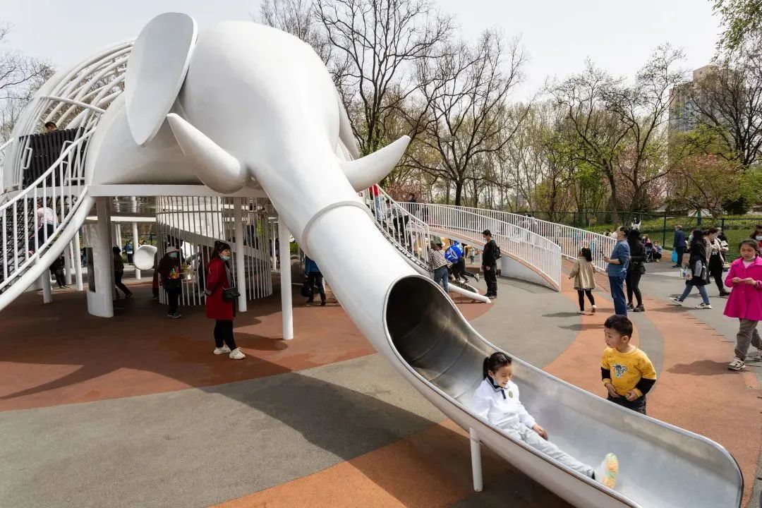 欢迎回来!大象滑滑梯