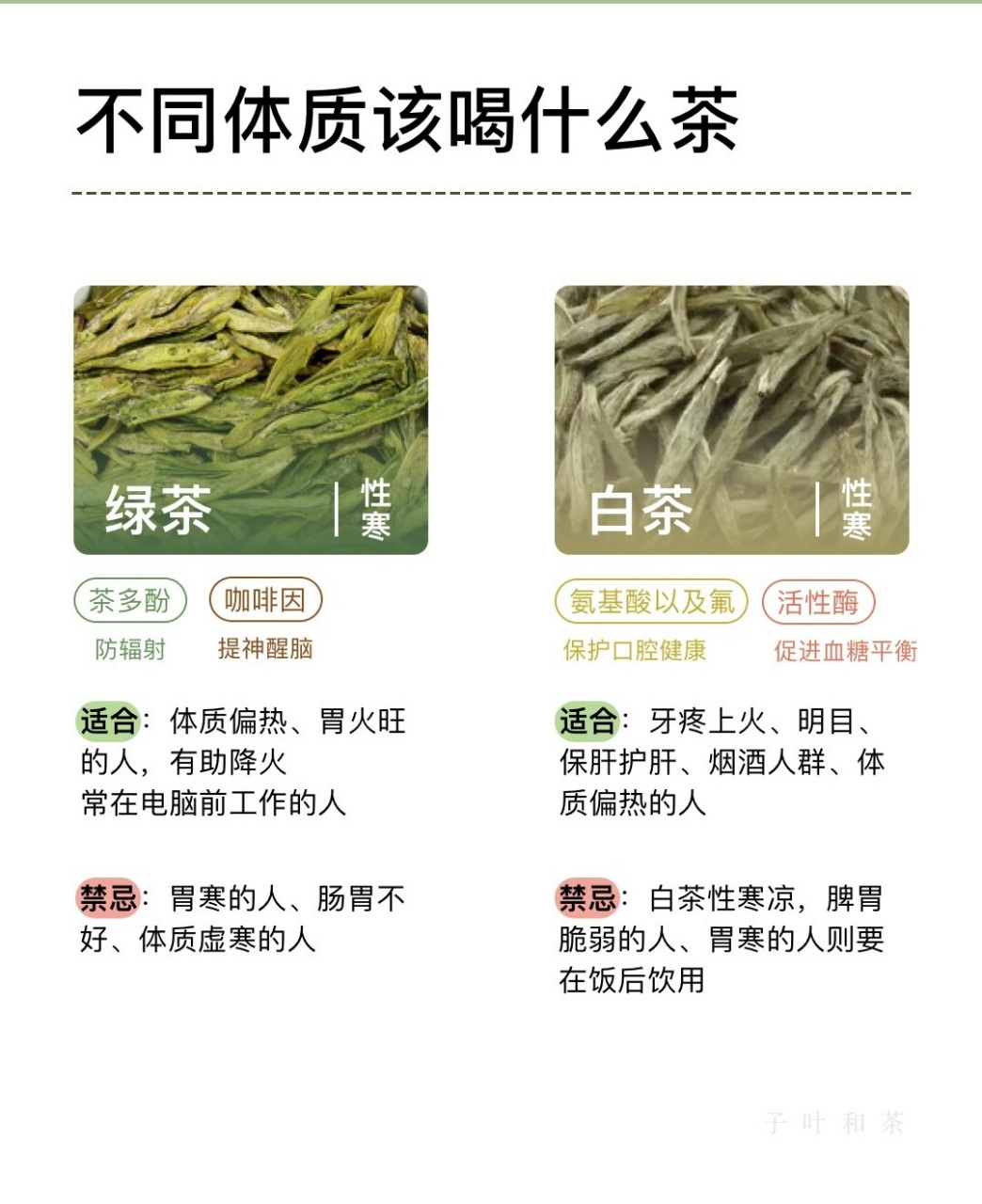 茶叶笔记04拿捏了 不同体质该喝什么茶  茶的神奇力量:提神醒脑,缓解
