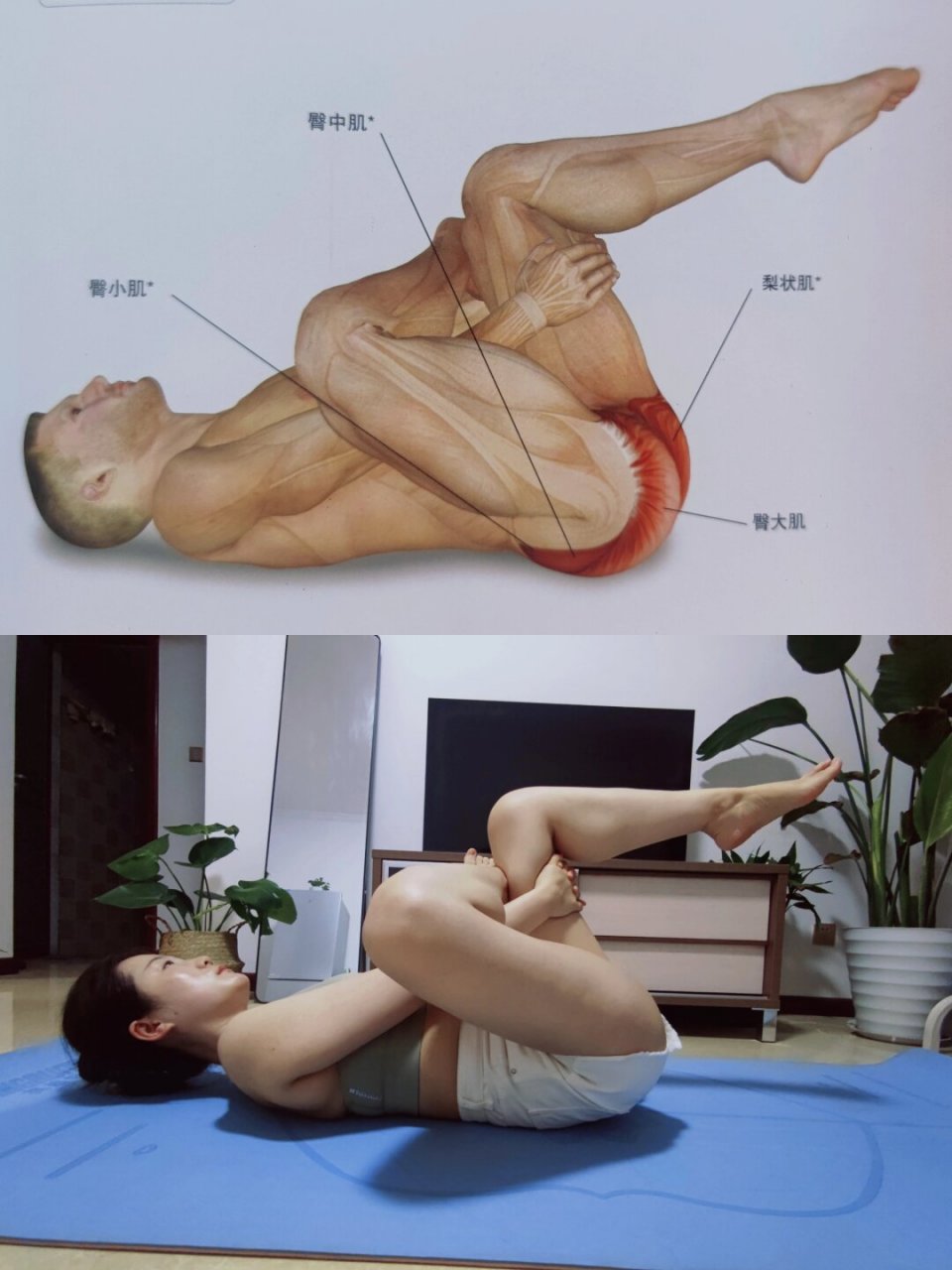 最伟大的拉伸  拉伸不仅能够帮助我们缓解肌肉紧张,提高身体柔韧性