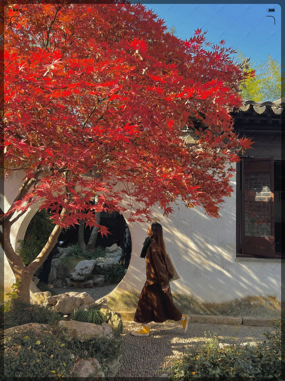 而且,由于艺圃的人流量个位数 你可以尽情享受这片宁静的美景