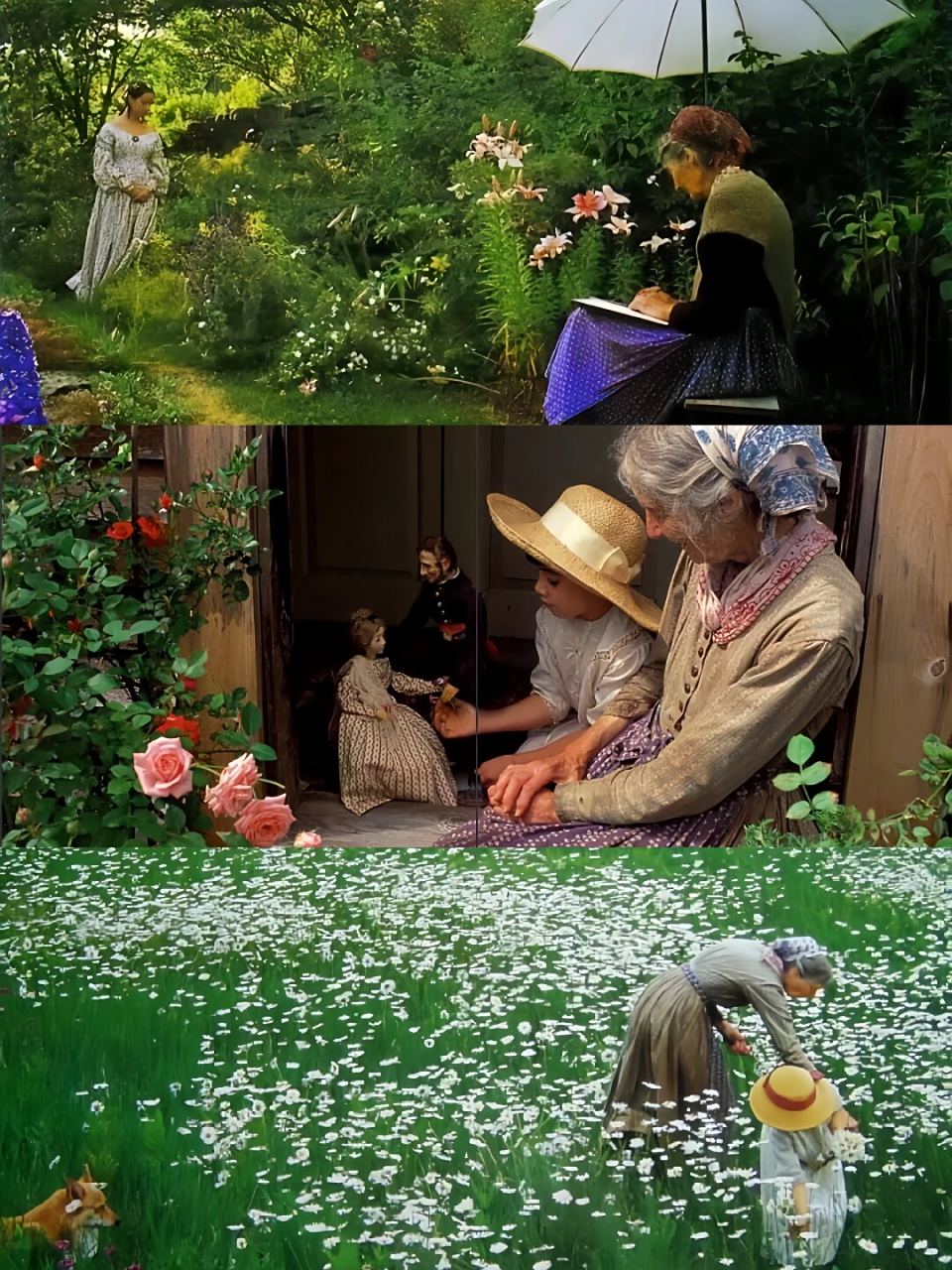 纪录片《塔莎杜朵,一个人的田园生活》 塔莎奶奶,一位令人敬佩的苫铑