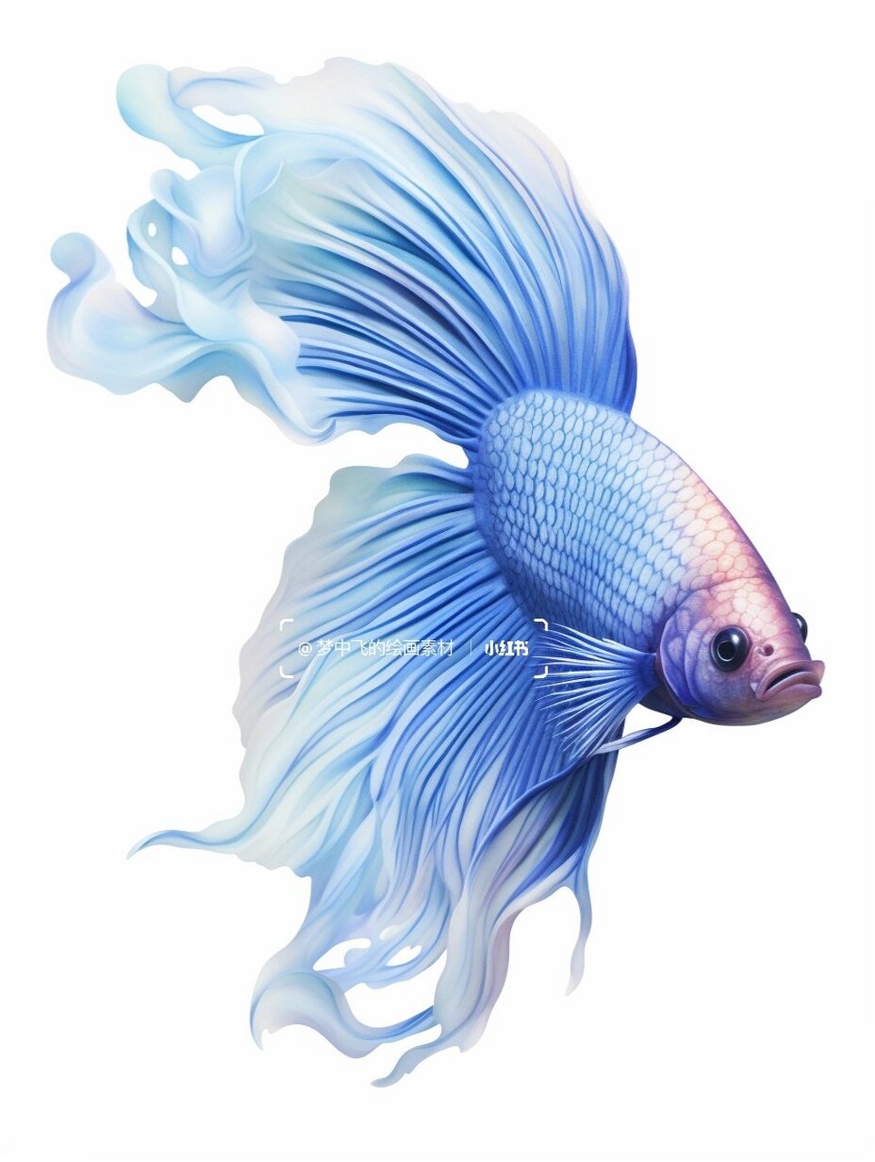 绘画素材1000更~漂亮的鱼儿  活灵活现的小鱼