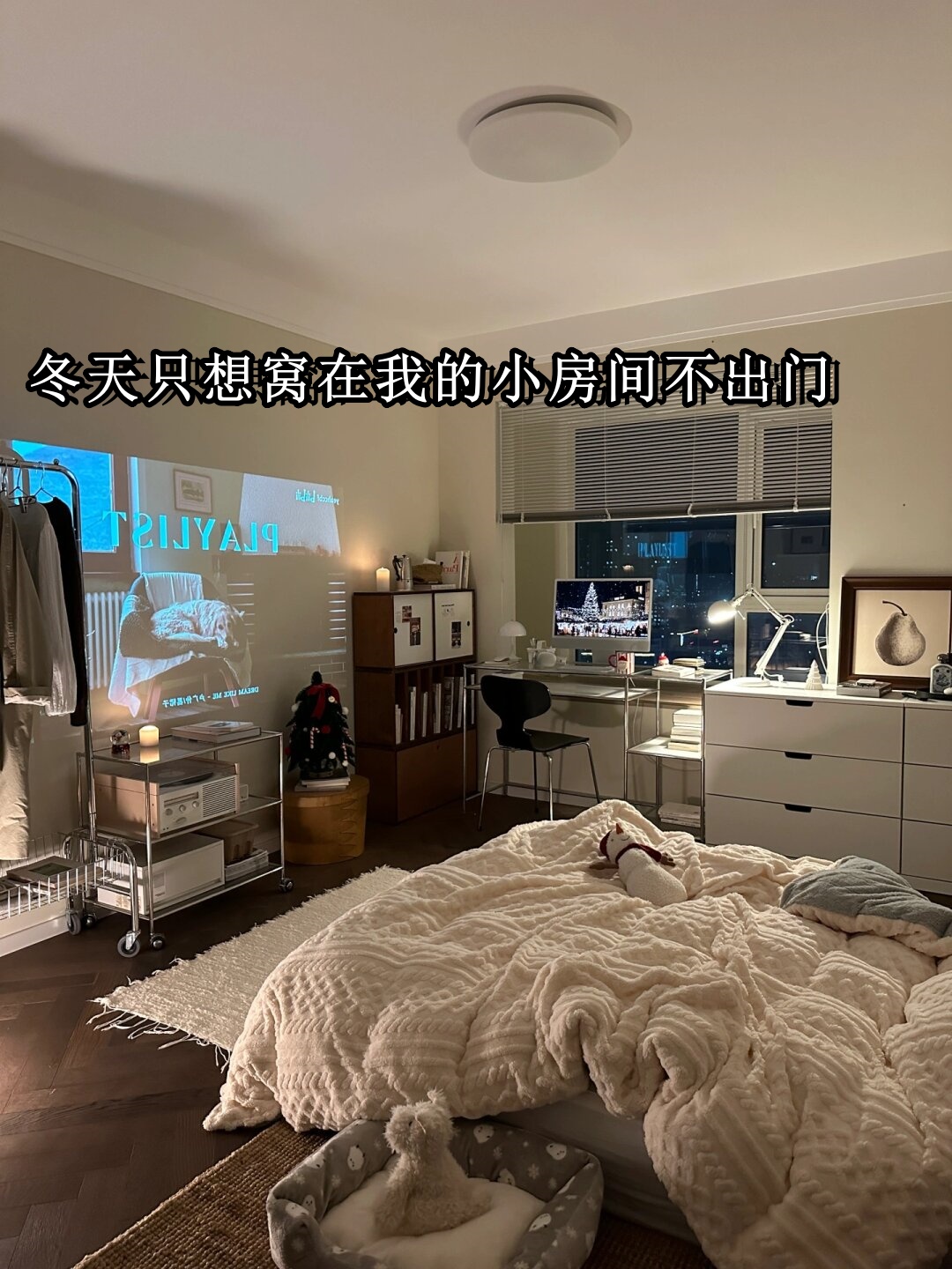 为了应对这突如其来的寒冷,我决定去超市囤积一些蔬菜,安心在家度过