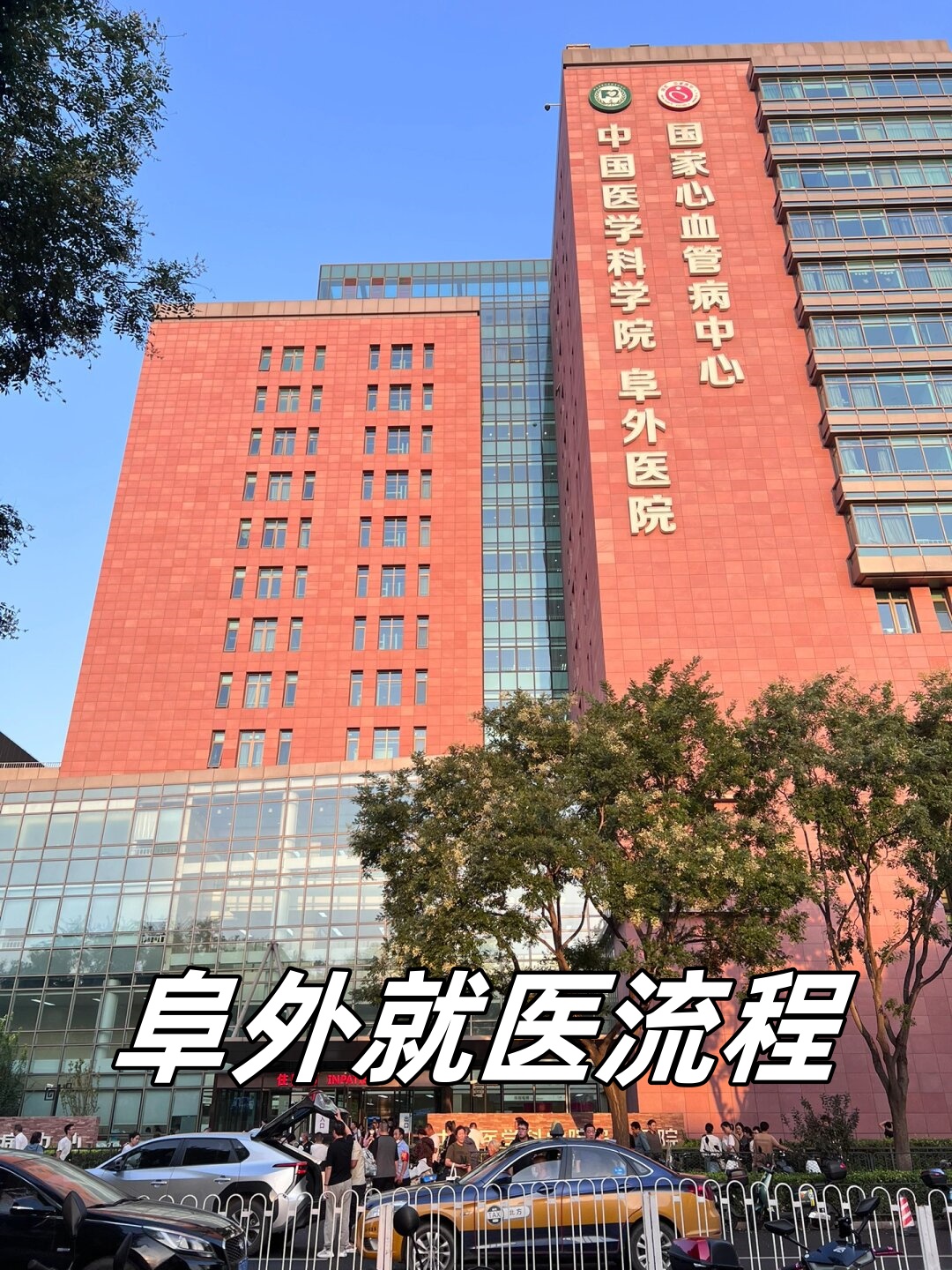 包含阜外医院"医院黄牛挂号网",的词条