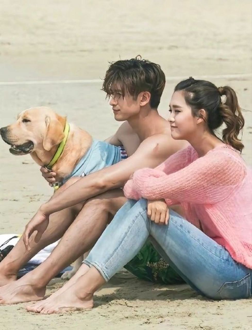 最近看了一部剧,叫《神犬小七》.