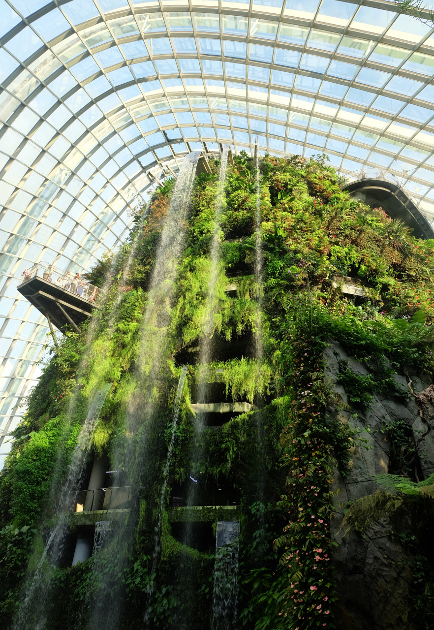 设计师在园中布局了植物温室,超级树丛等设施,造型前卫,低碳创新,构思