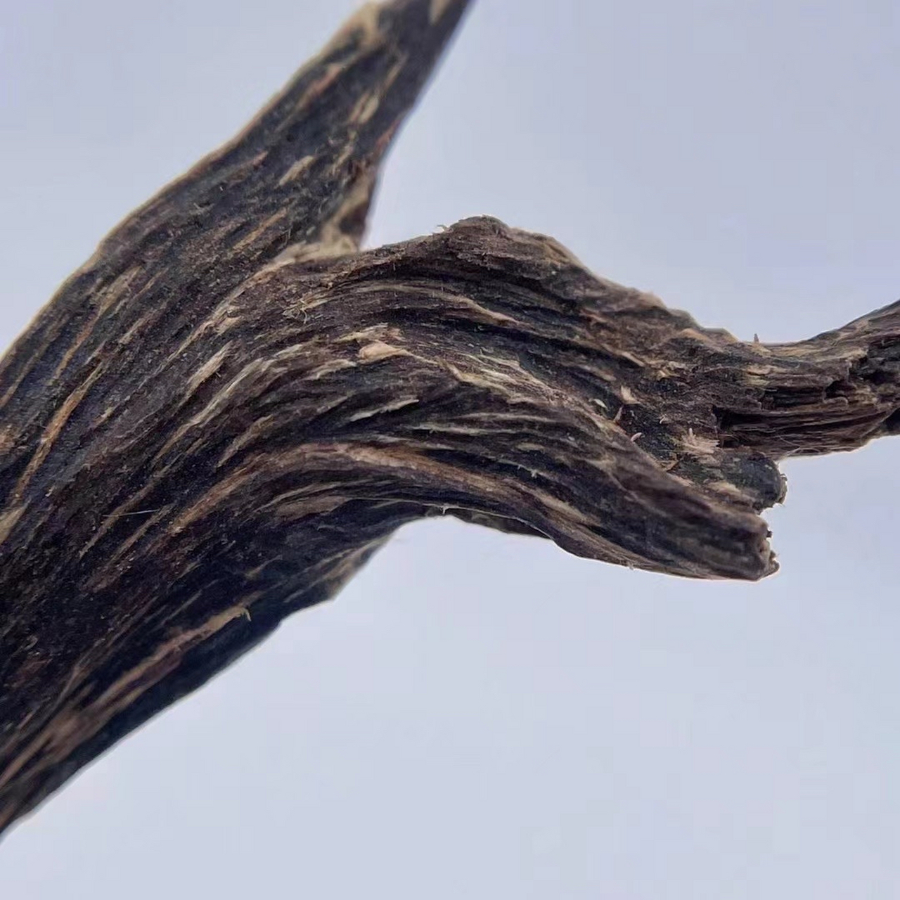 简述:百年达拉干沉香树心油, 纯野生结香,香味花香浓郁持久, 刮粉上炉